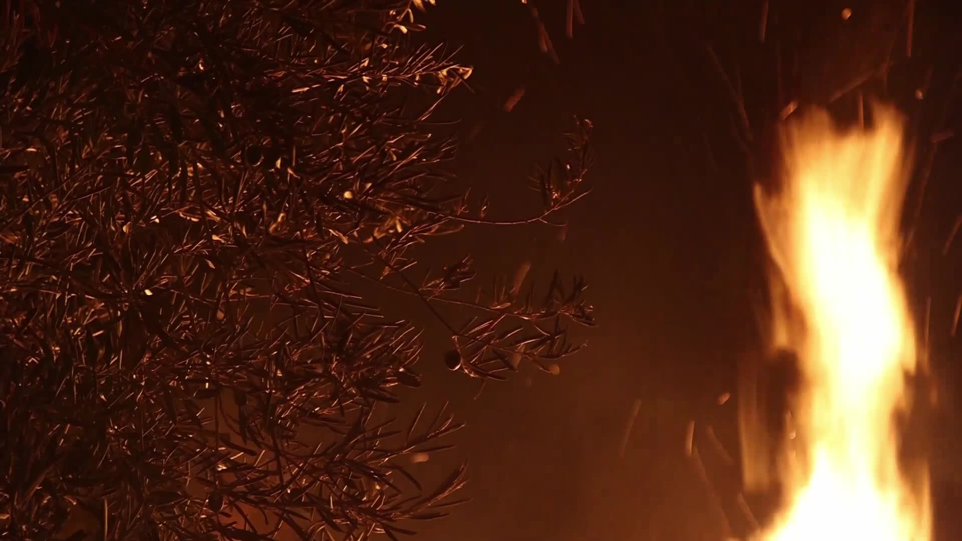 Wildfire in Rovies, Greece