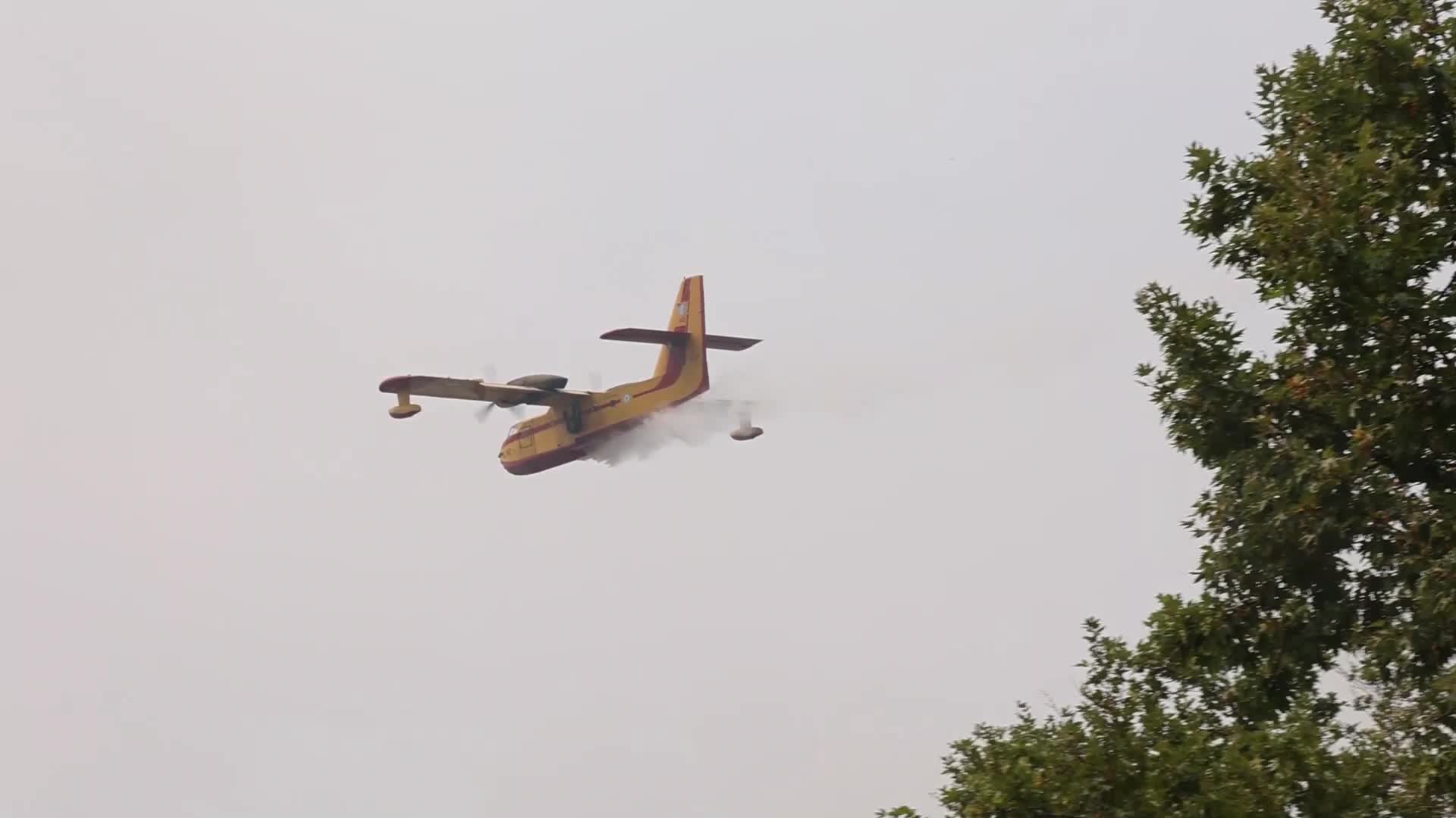 Wildfire in Evia, Greece