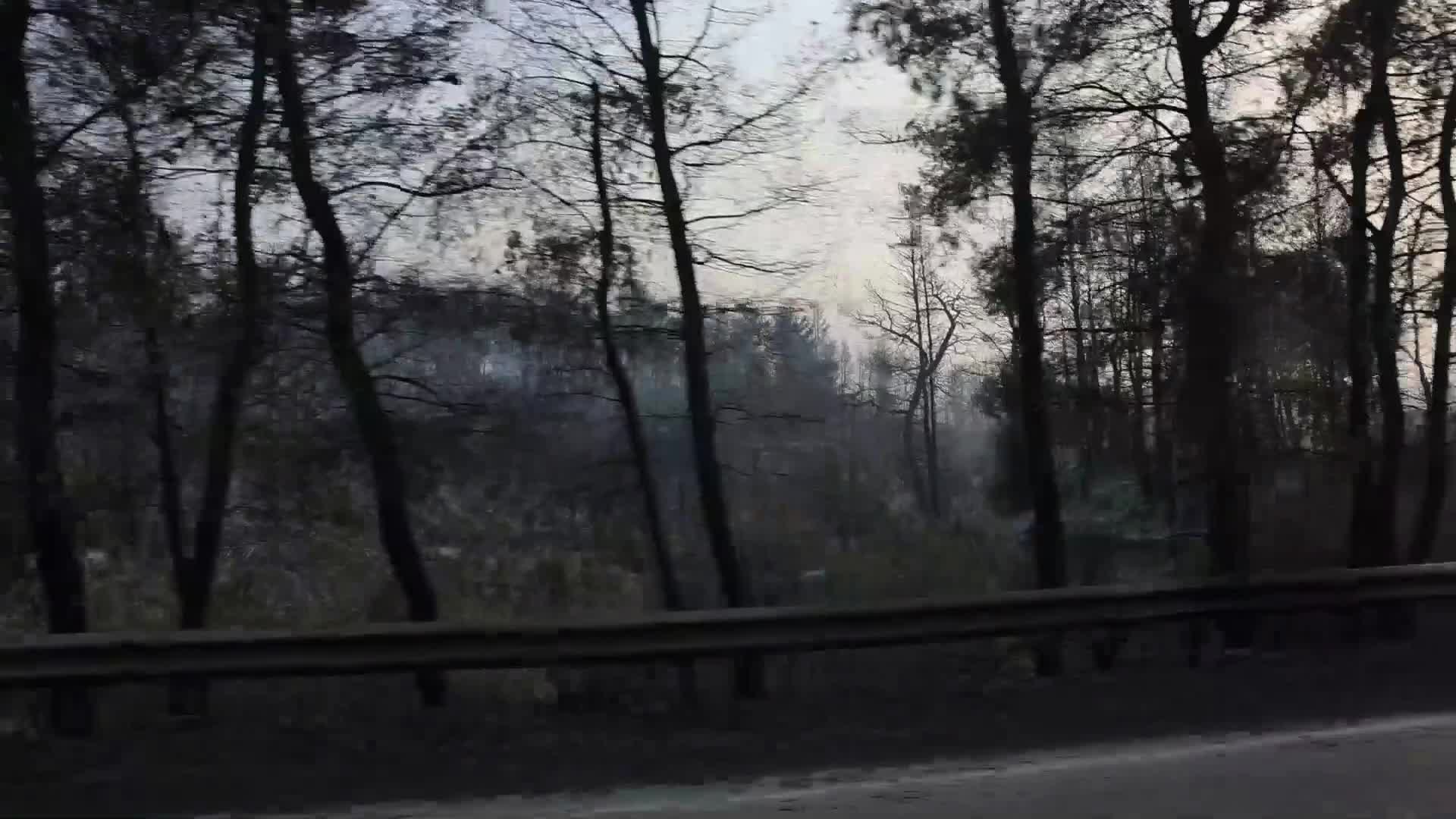 Wildfire in Evia, Greece