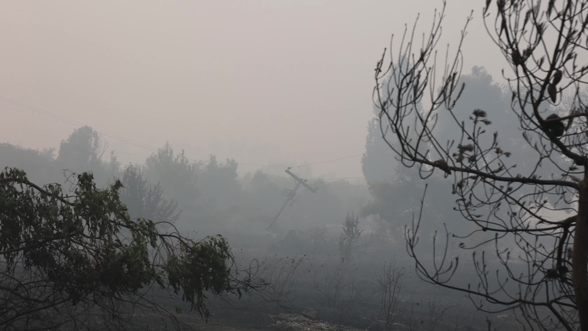 Wildfire in Evia, Greece