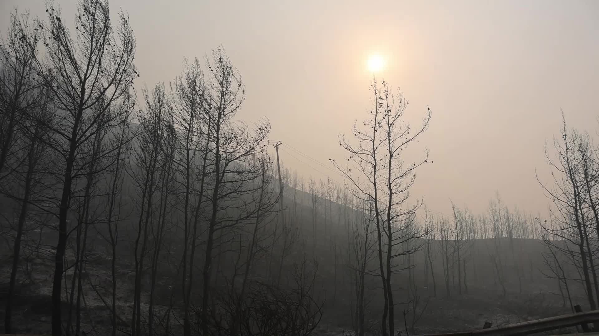 Wildfire in Evia, Greece