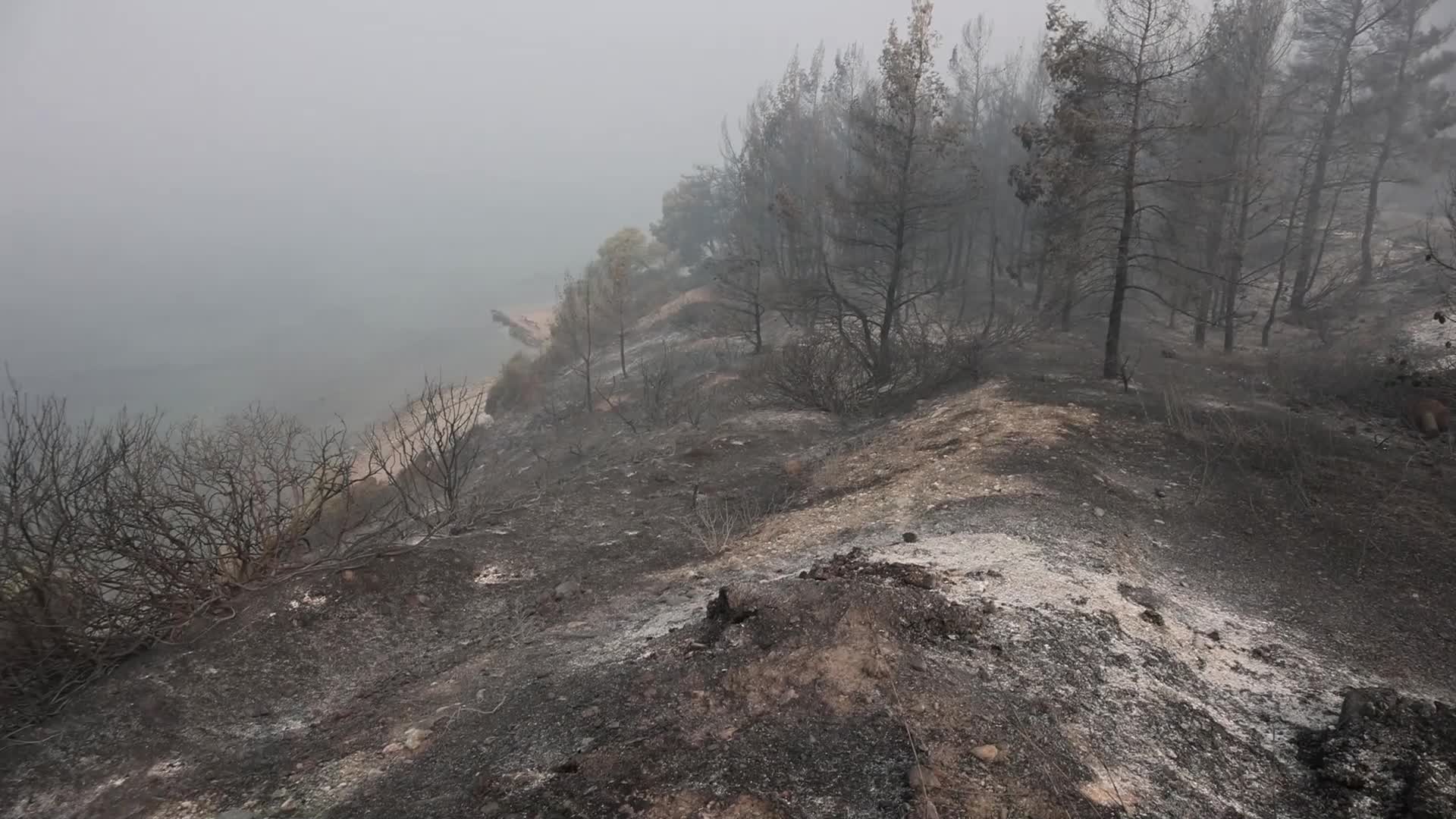 Wildfire in Evia, Greece