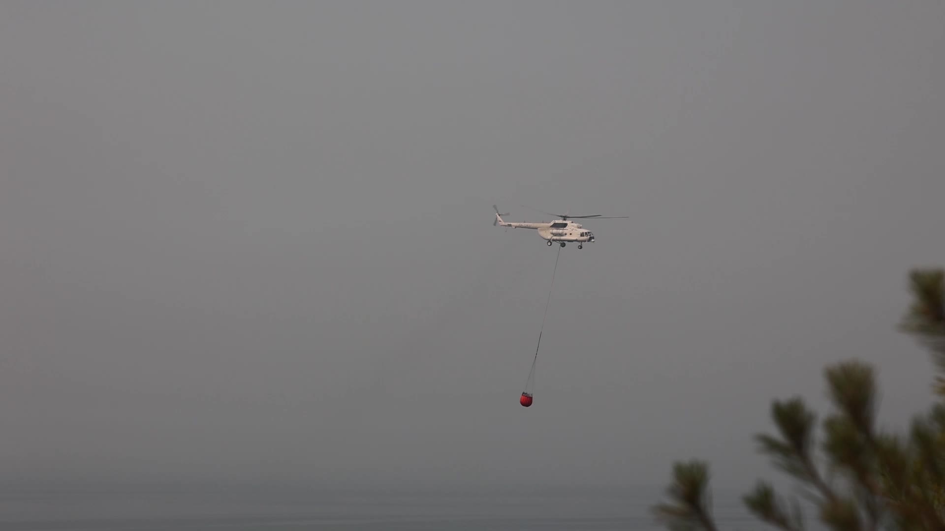 Wildfire in Evia, Greece