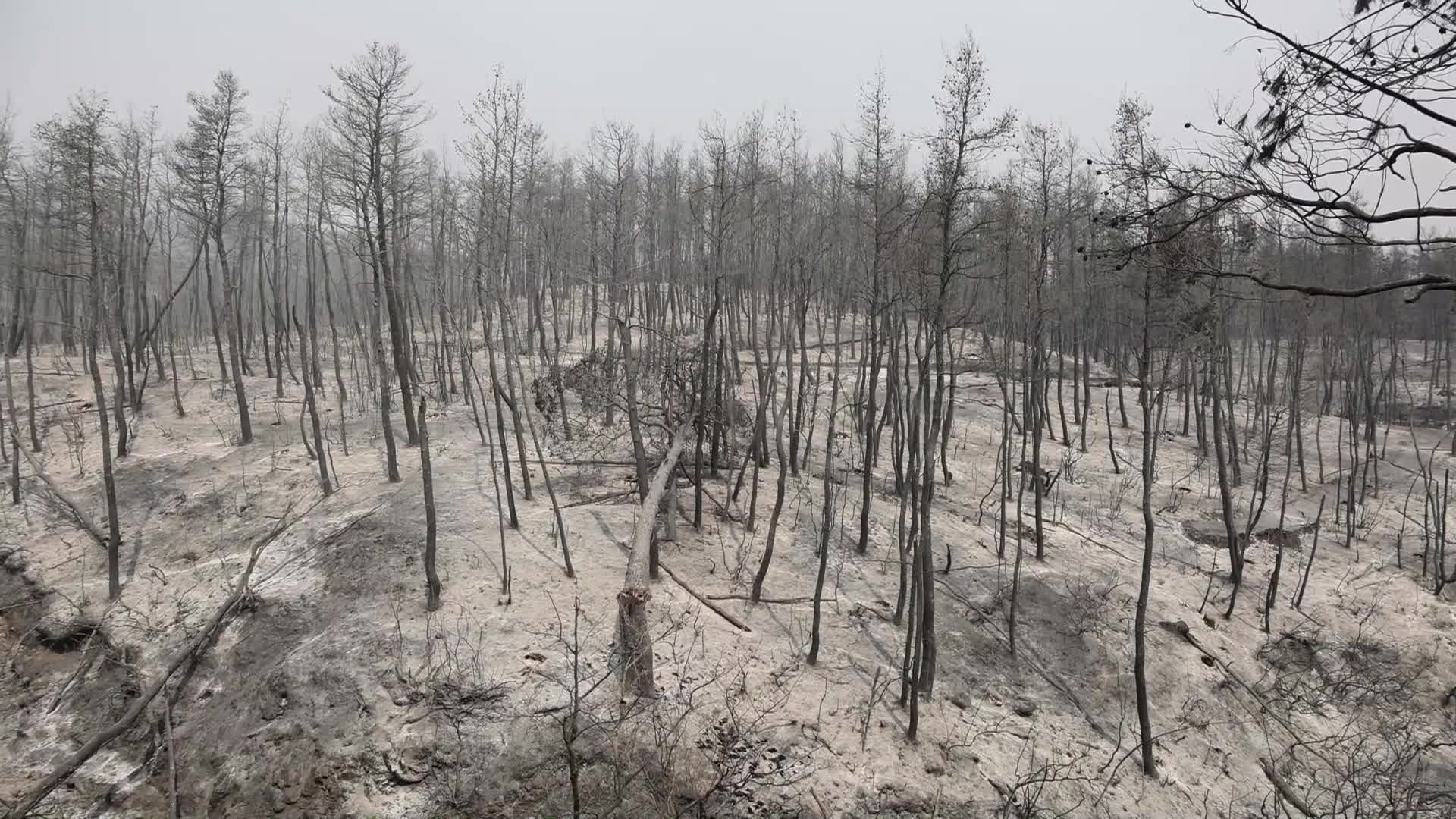 Wildfire in Evia, Greece
