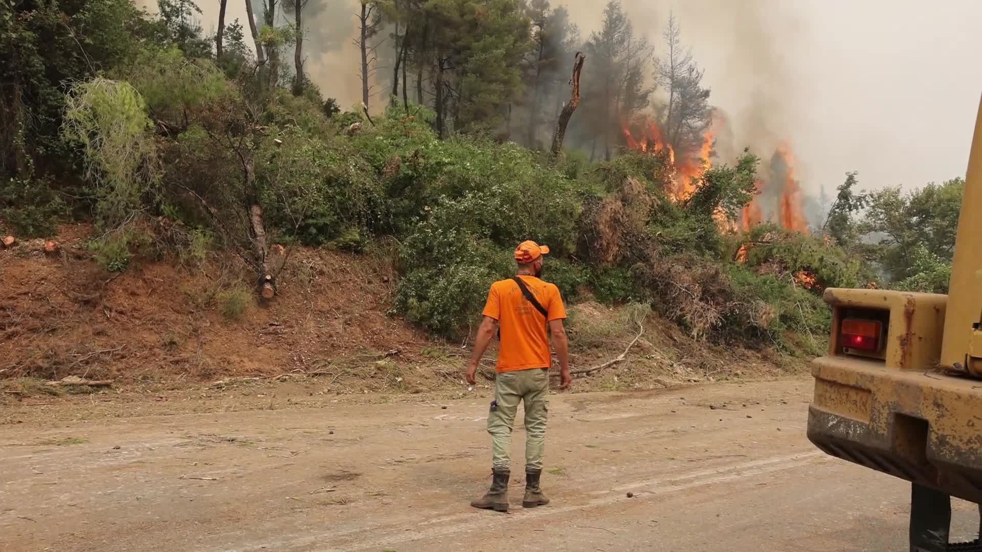 Wildfire in Evia, Greece