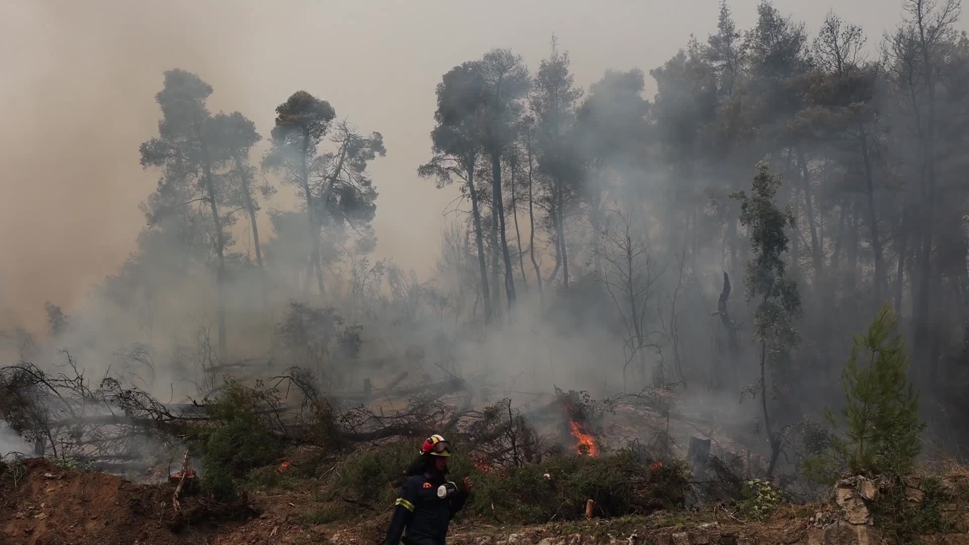 Wildfire in Evia, Greece
