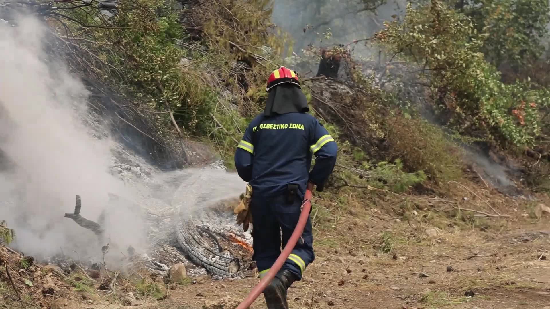 Wildfire in Evia, Greece