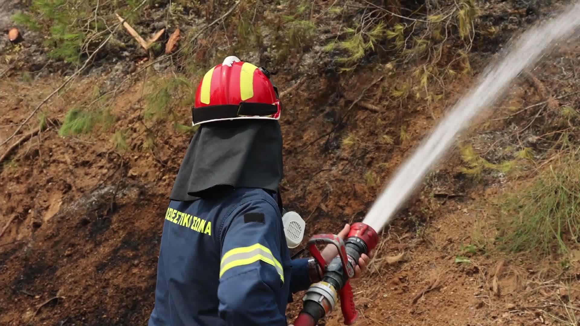 Wildfire in Evia, Greece