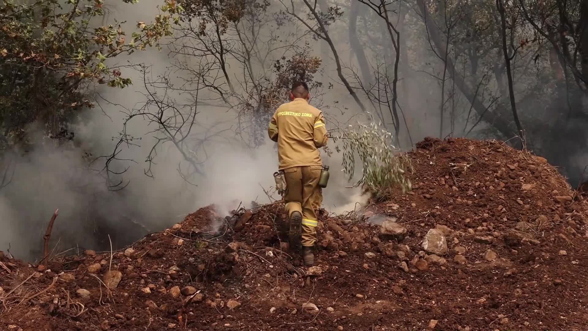 Wildfire in Evia, Greece