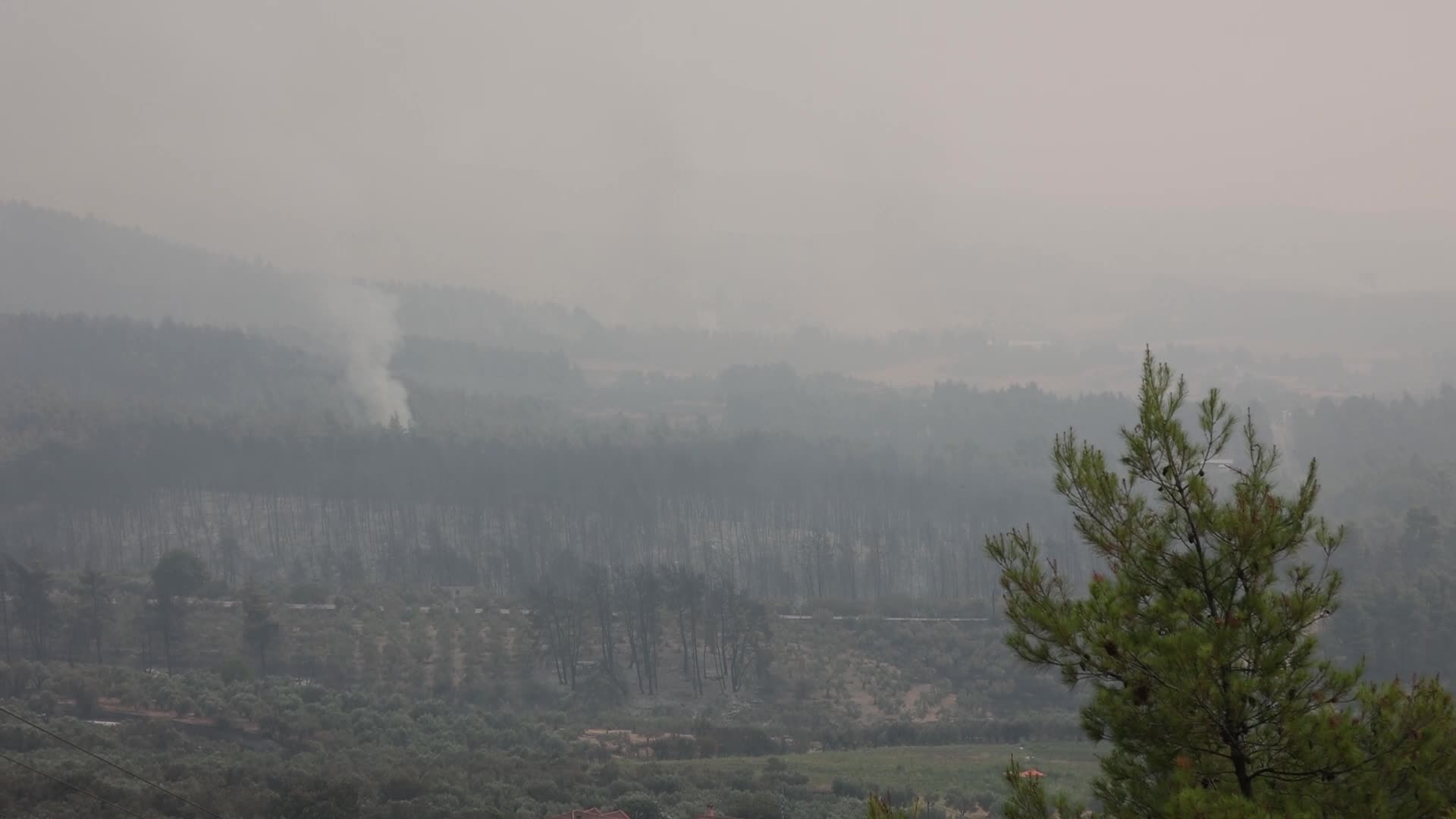 Wildfire in Evia, Greece