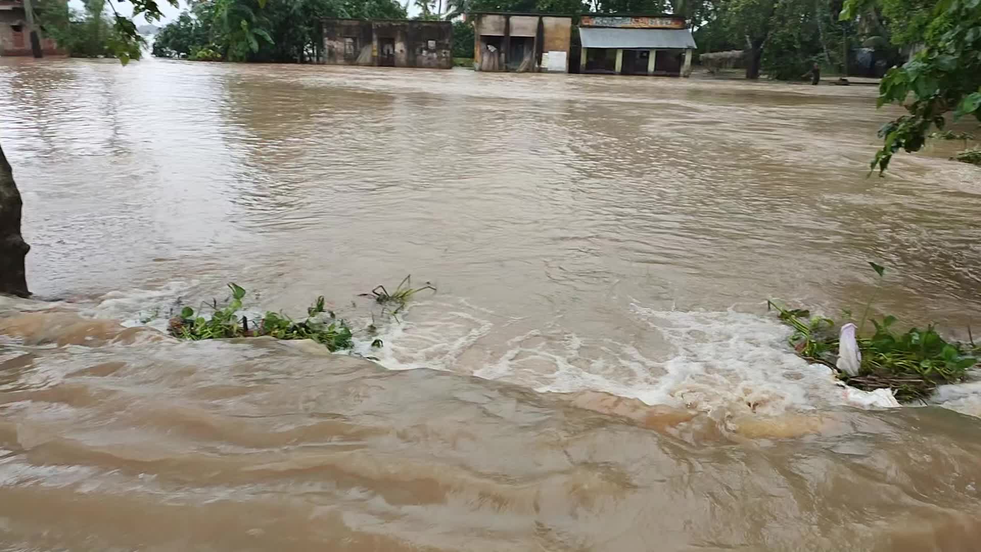 Flood In West Bengal