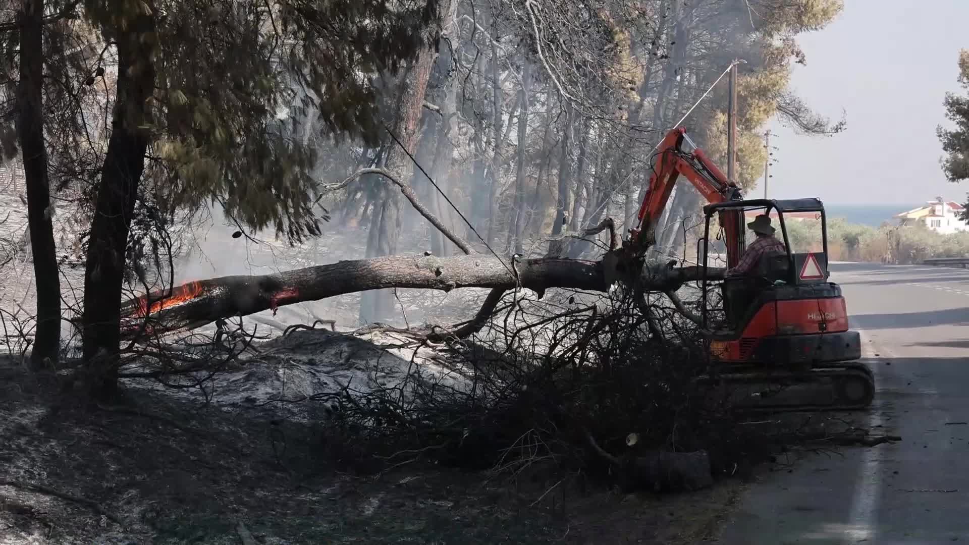Wildfire in Evia, Greece