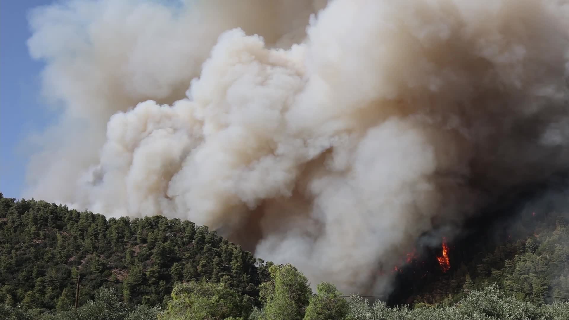 Wildfire in Evia, Greece