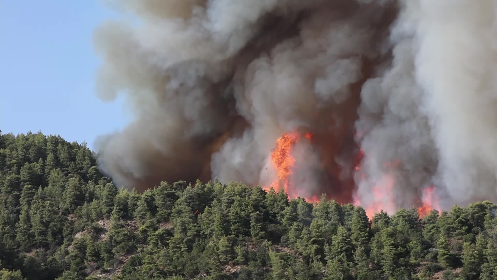 Wildfire in Evia, Greece