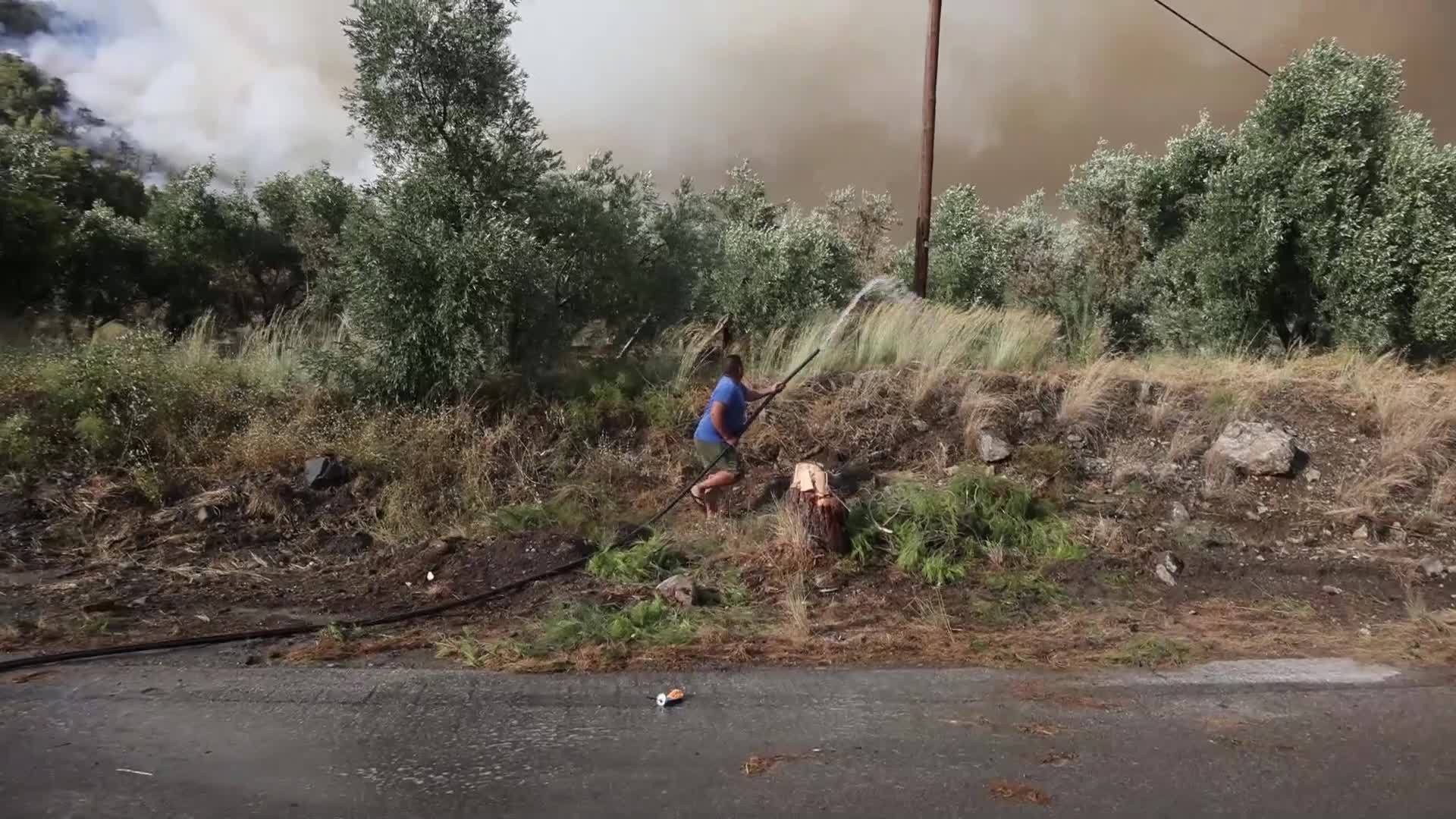 Wildfire in Evia, Greece