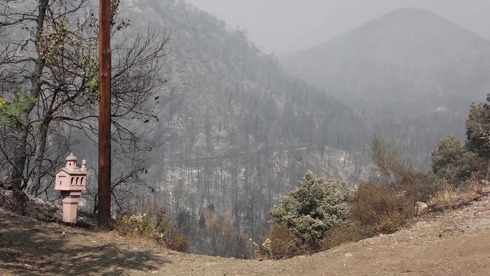 Wildfire in Evia, Greece