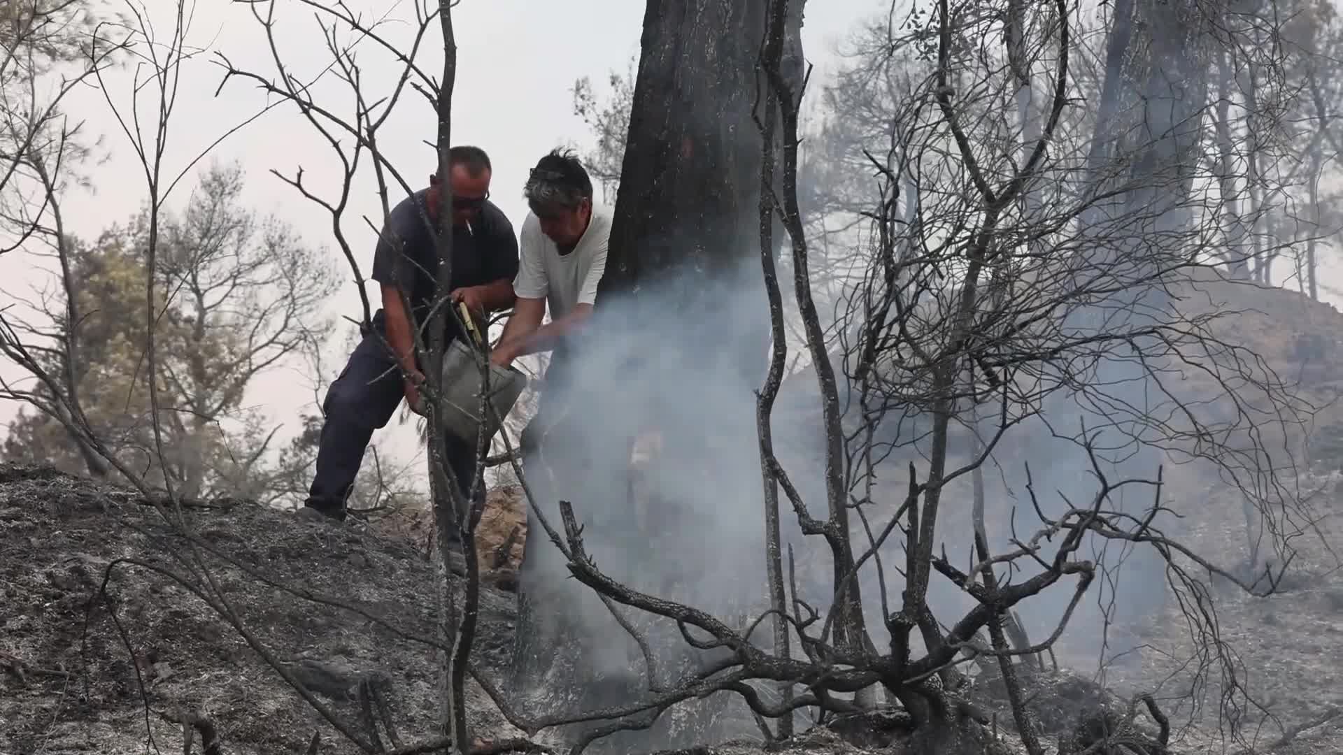 Wildfire in Evia, Greece