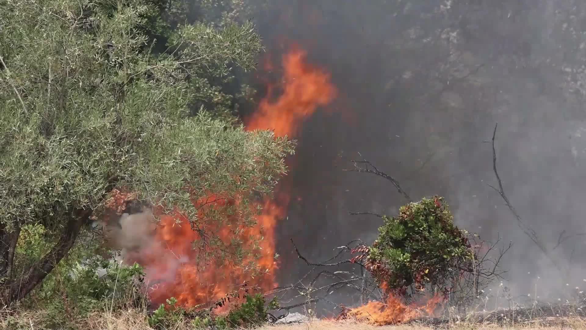 Wildfire in Evia, Greece