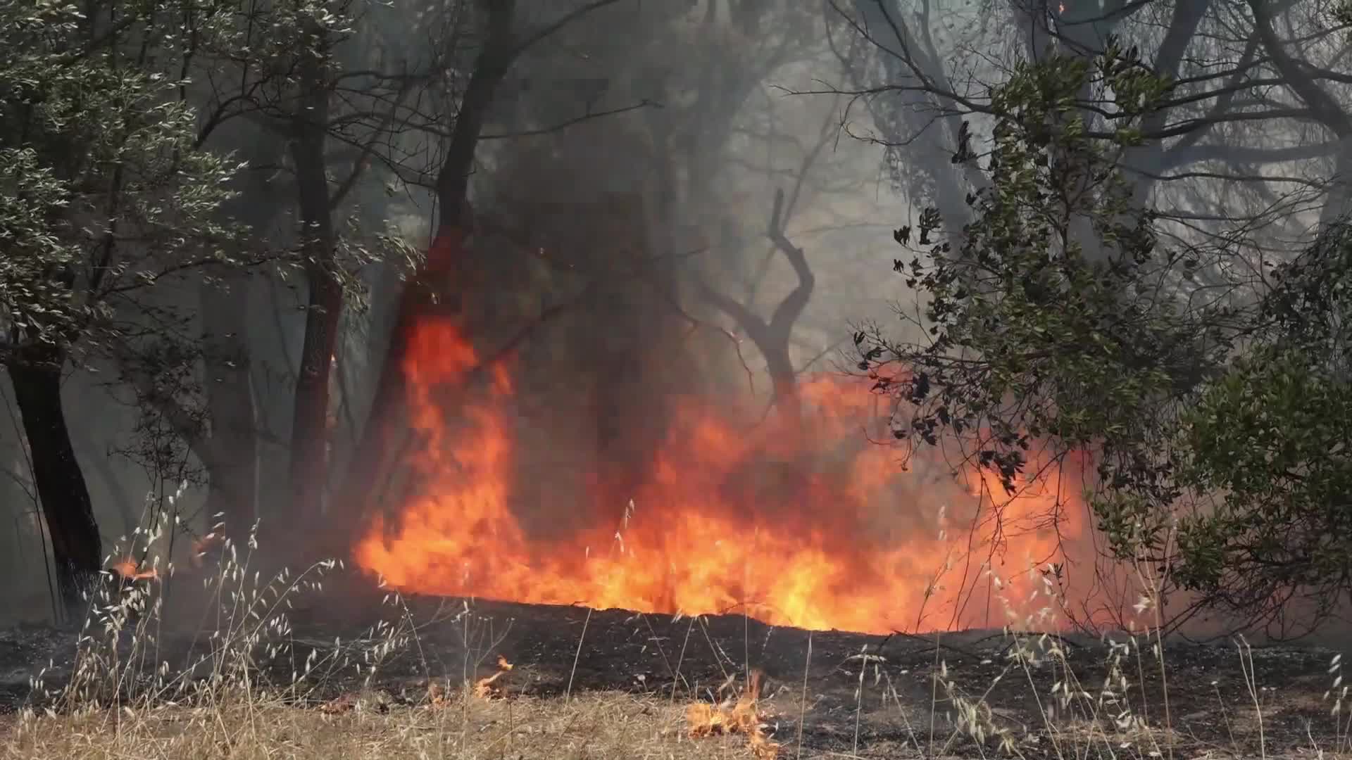 Wildfire in Evia, Greece