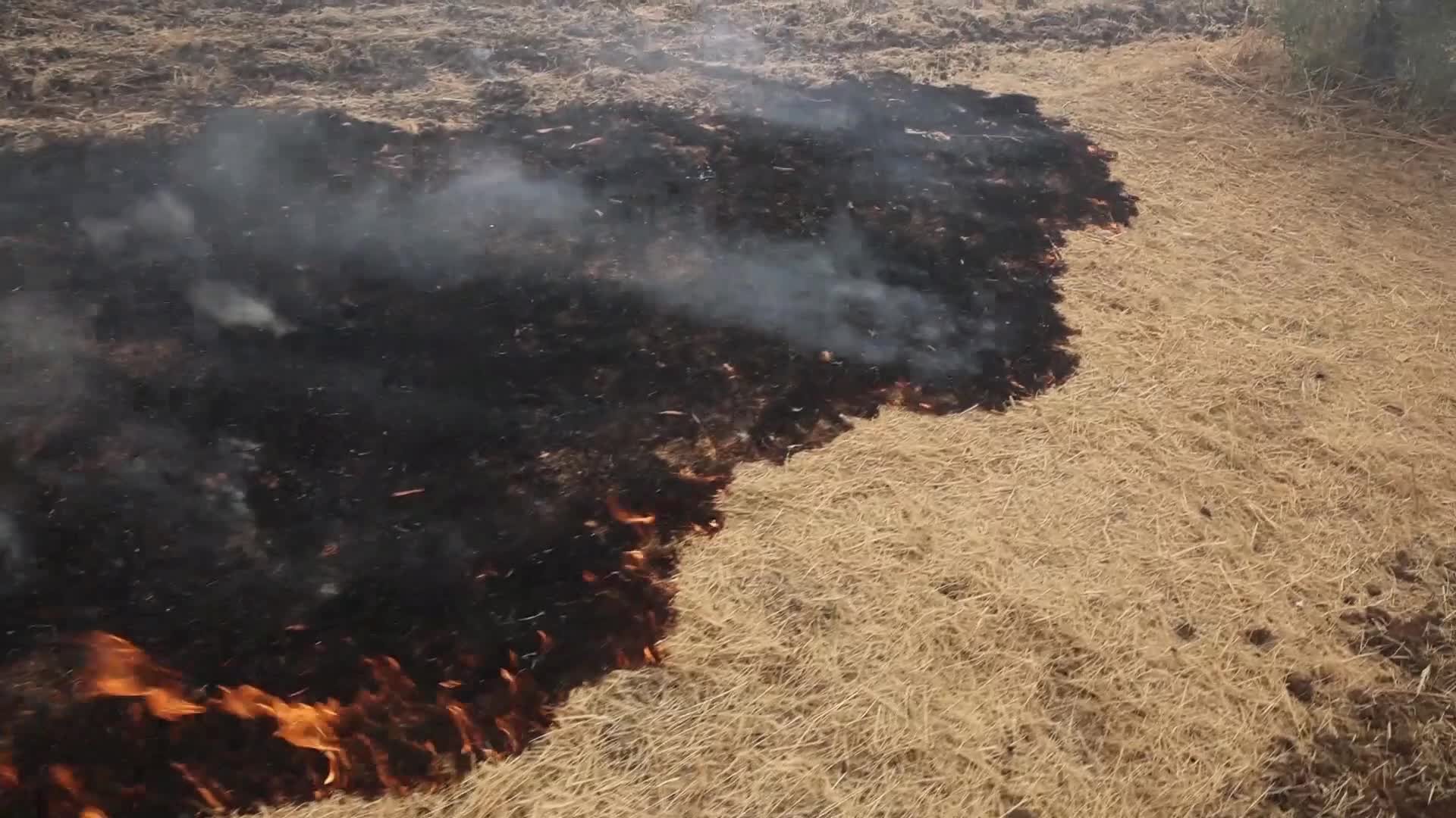 Wildfire in Evia, Greece