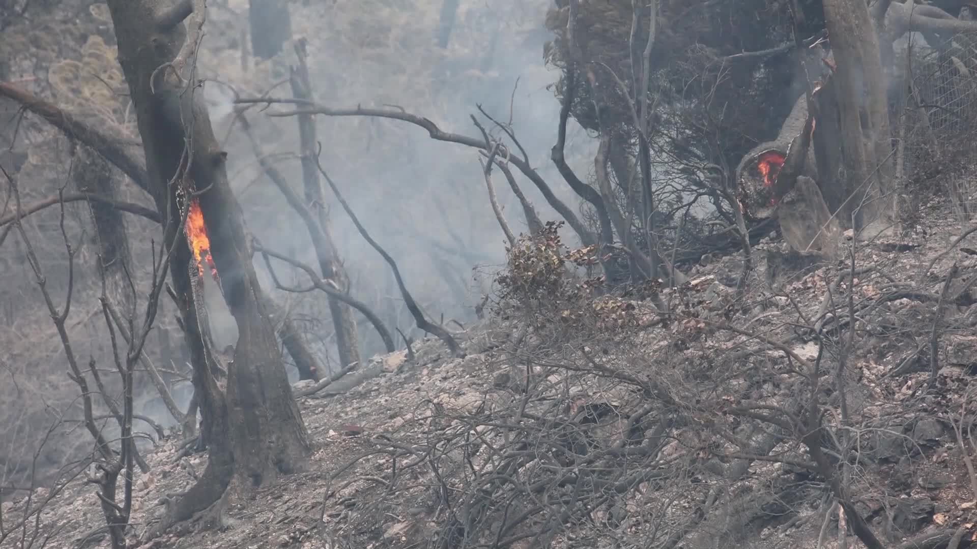 Wildfire in Evia, Greece