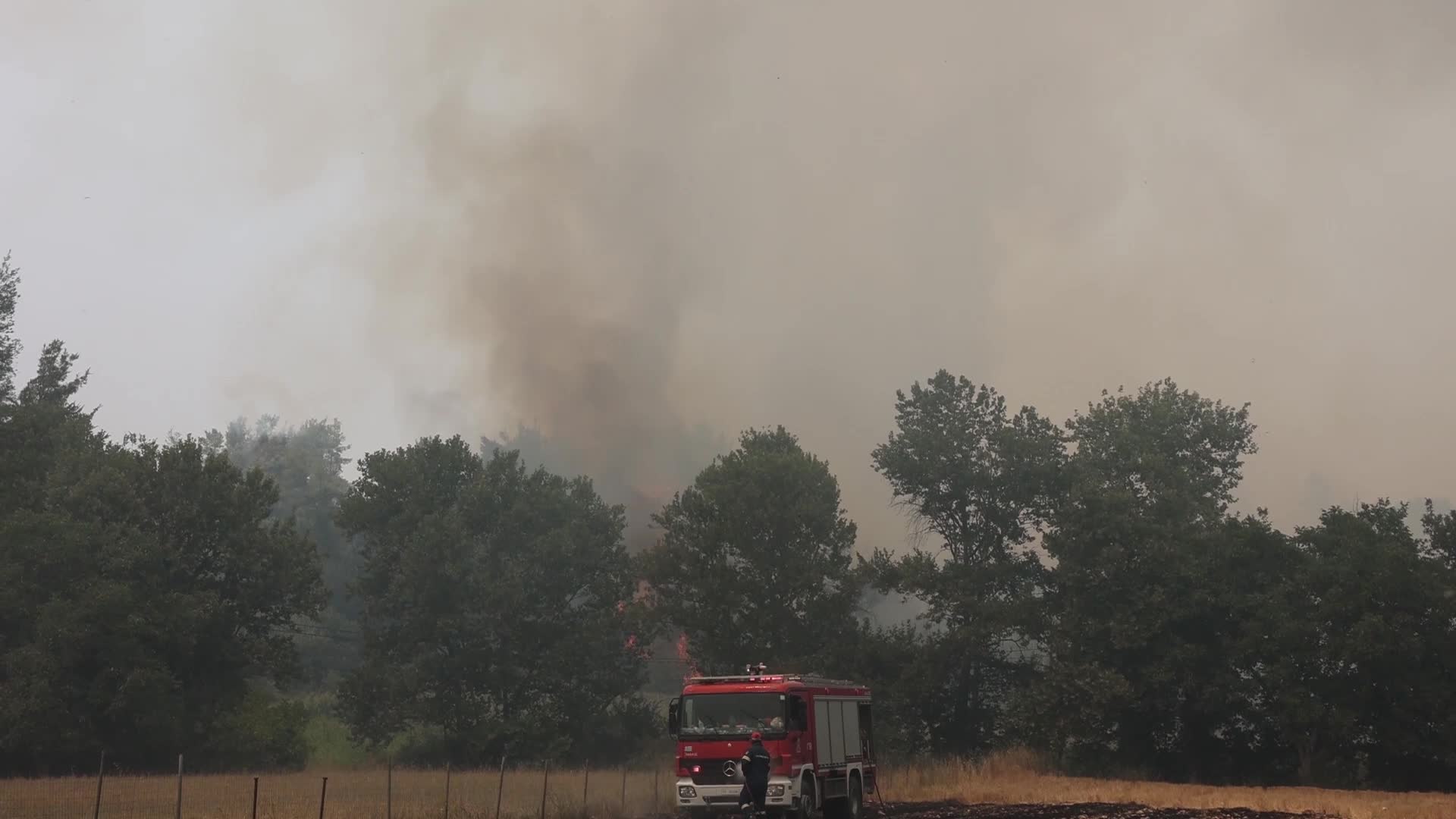 Wildfire in Evia, Greece