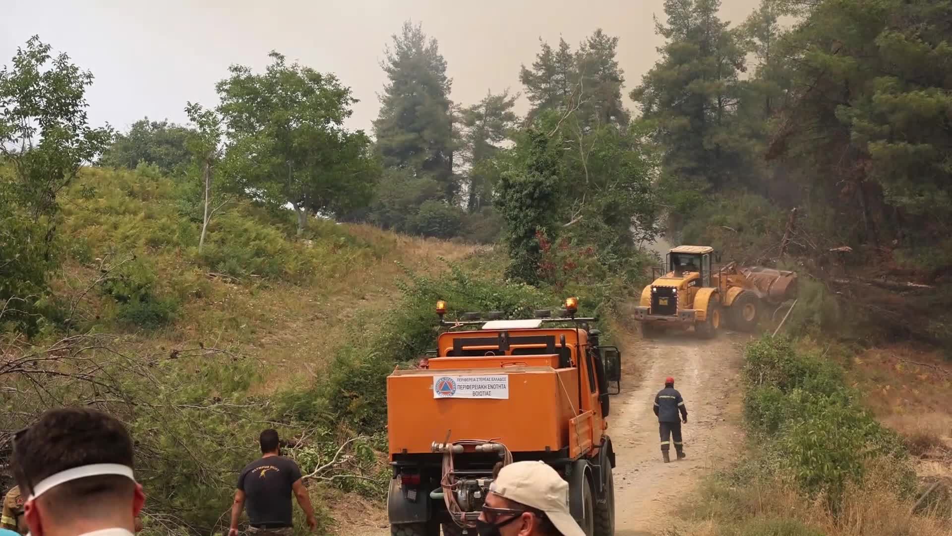 Wildfire in Evia, Greece