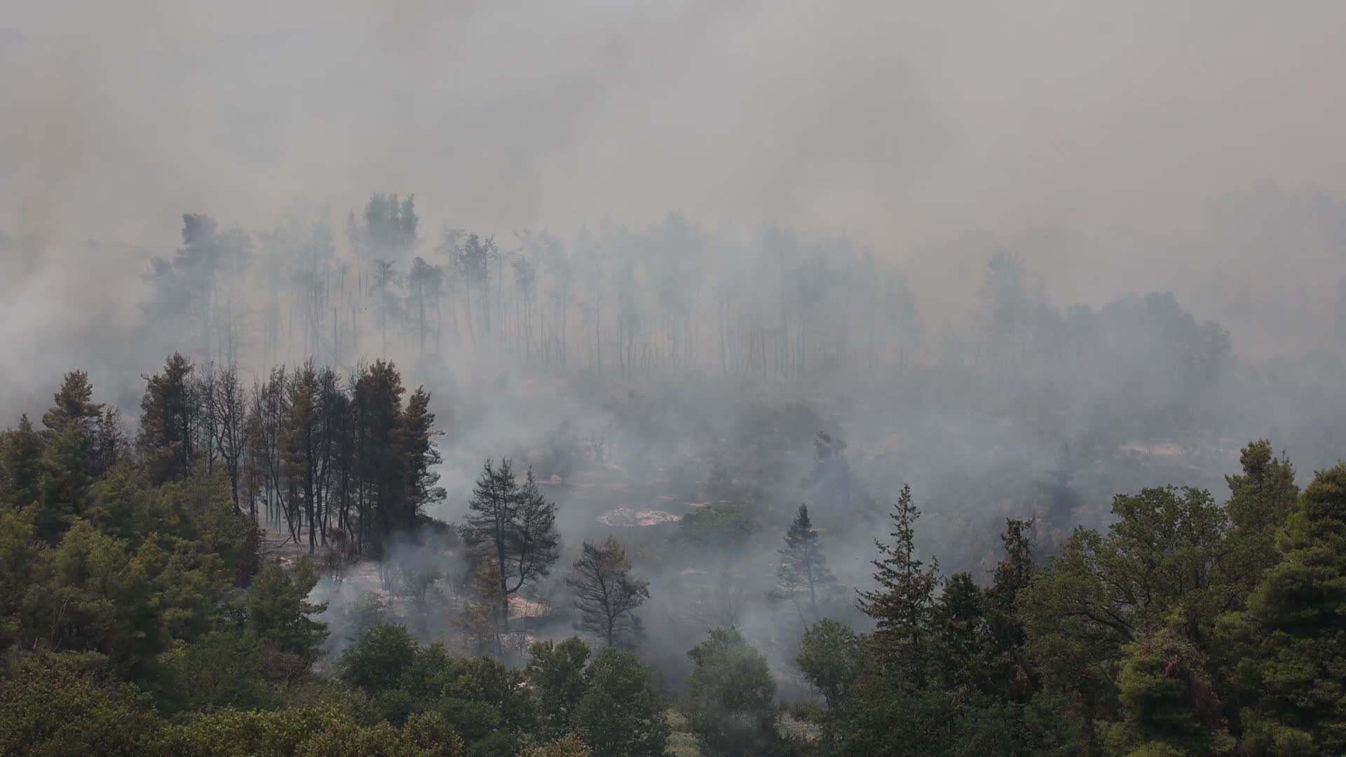 Wildfire in Evia, Greece