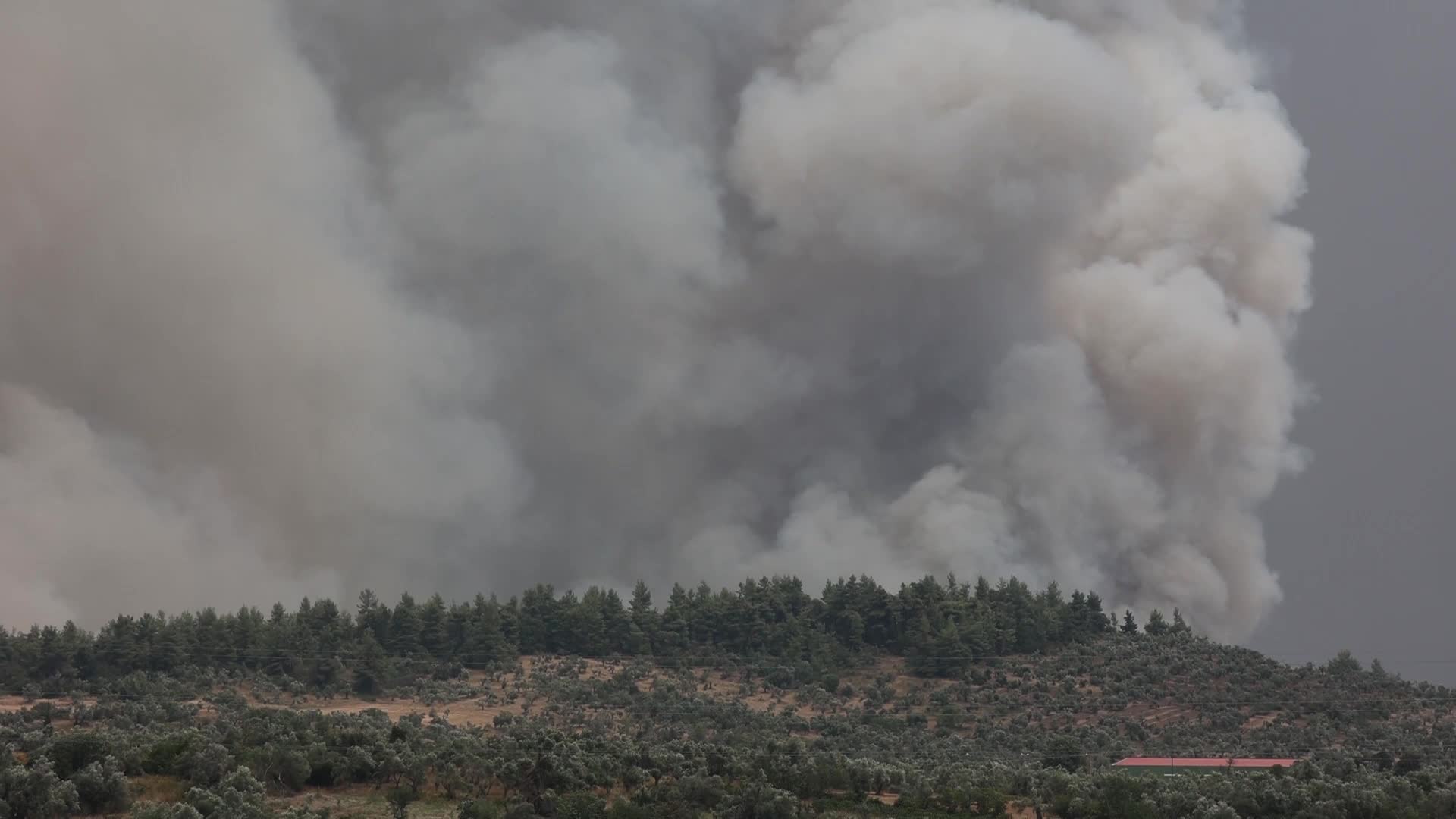 Wildfire in Evia, Greece