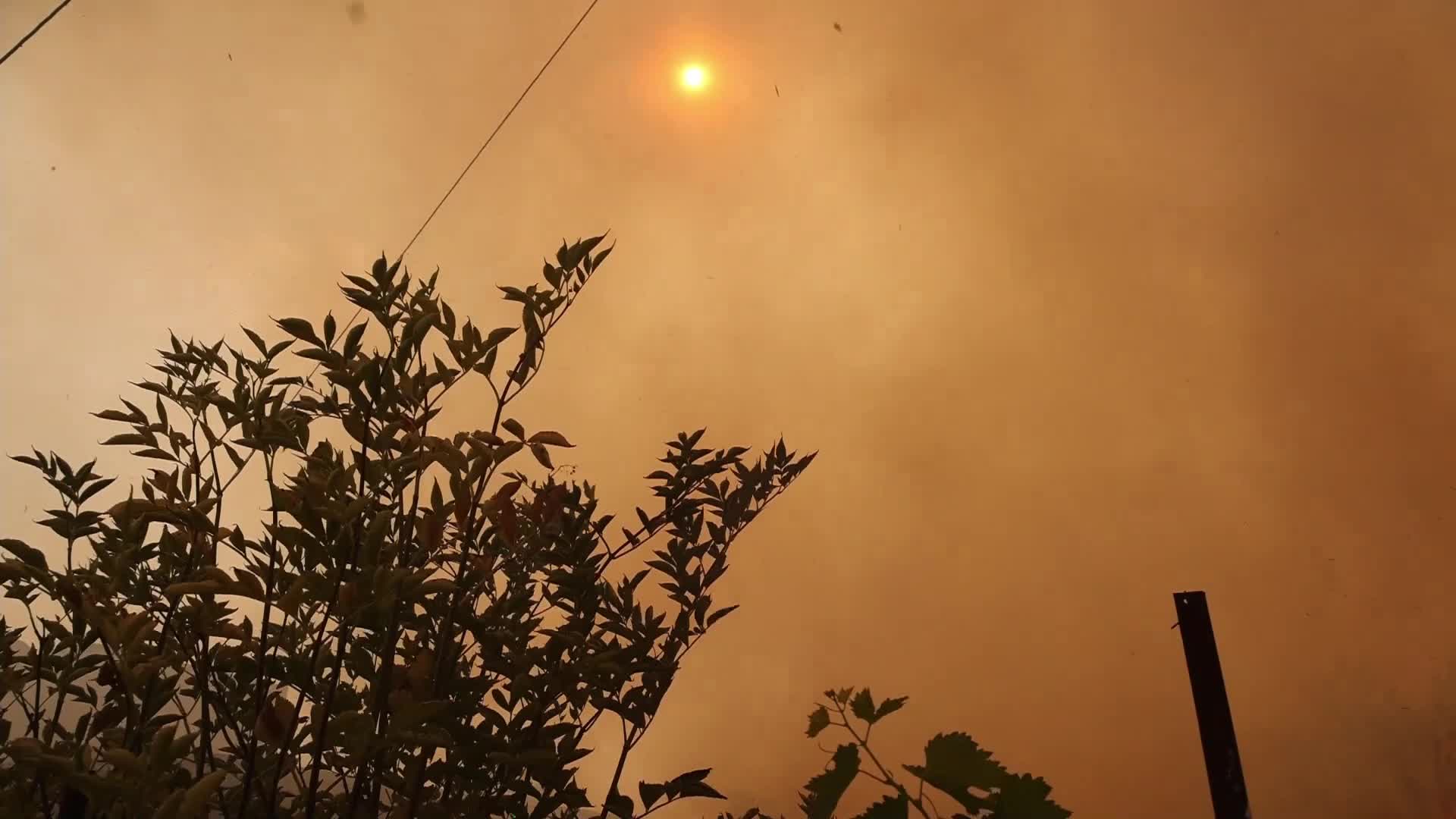 Wildfire in Evia, Greece