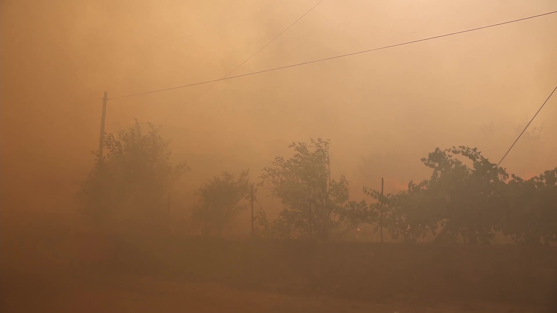 Wildfire in Evia, Greece