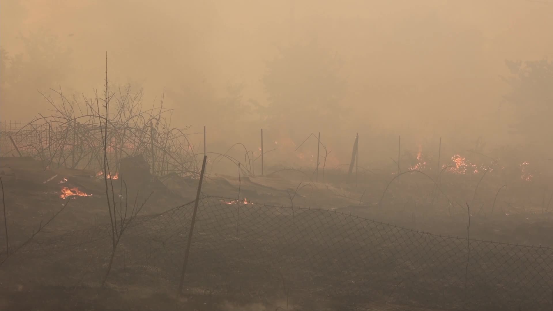 Wildfire in Evia, Greece