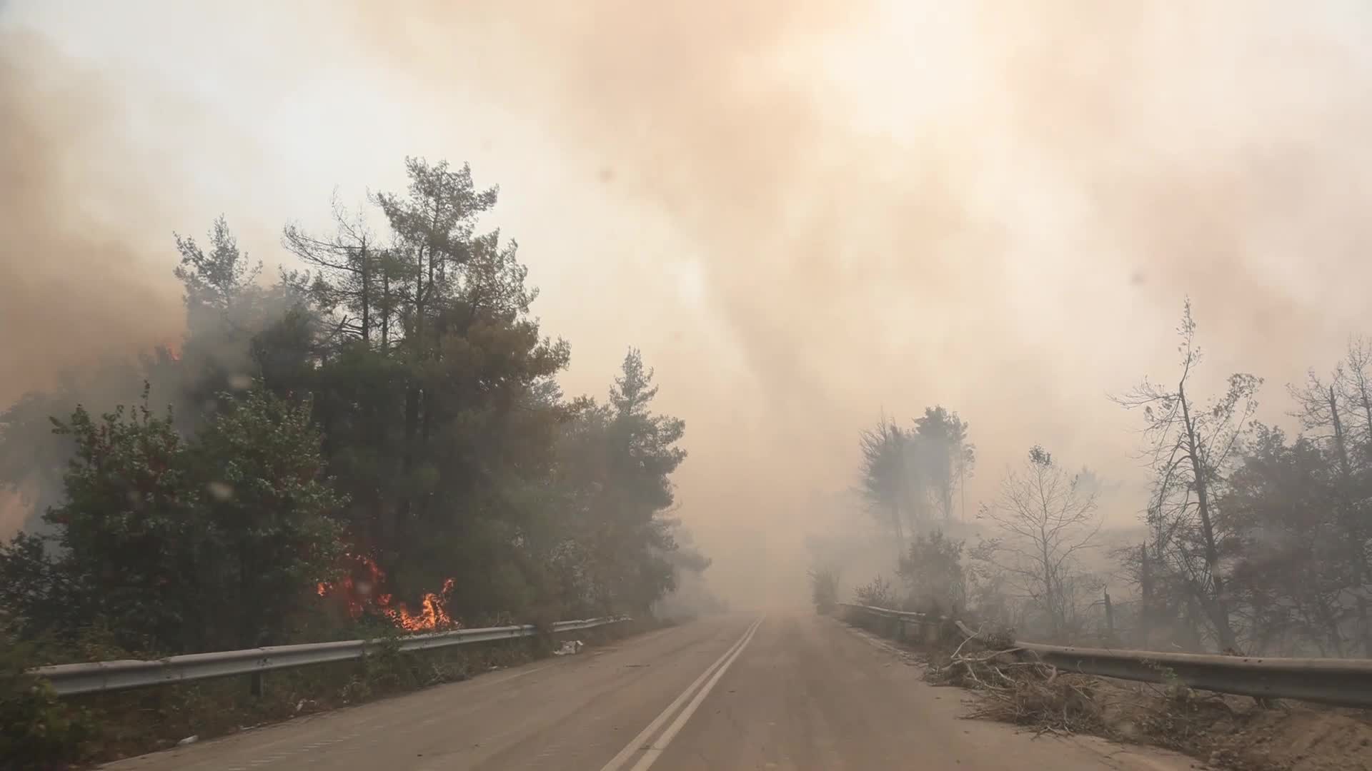 Wildfire in Evia, Greece