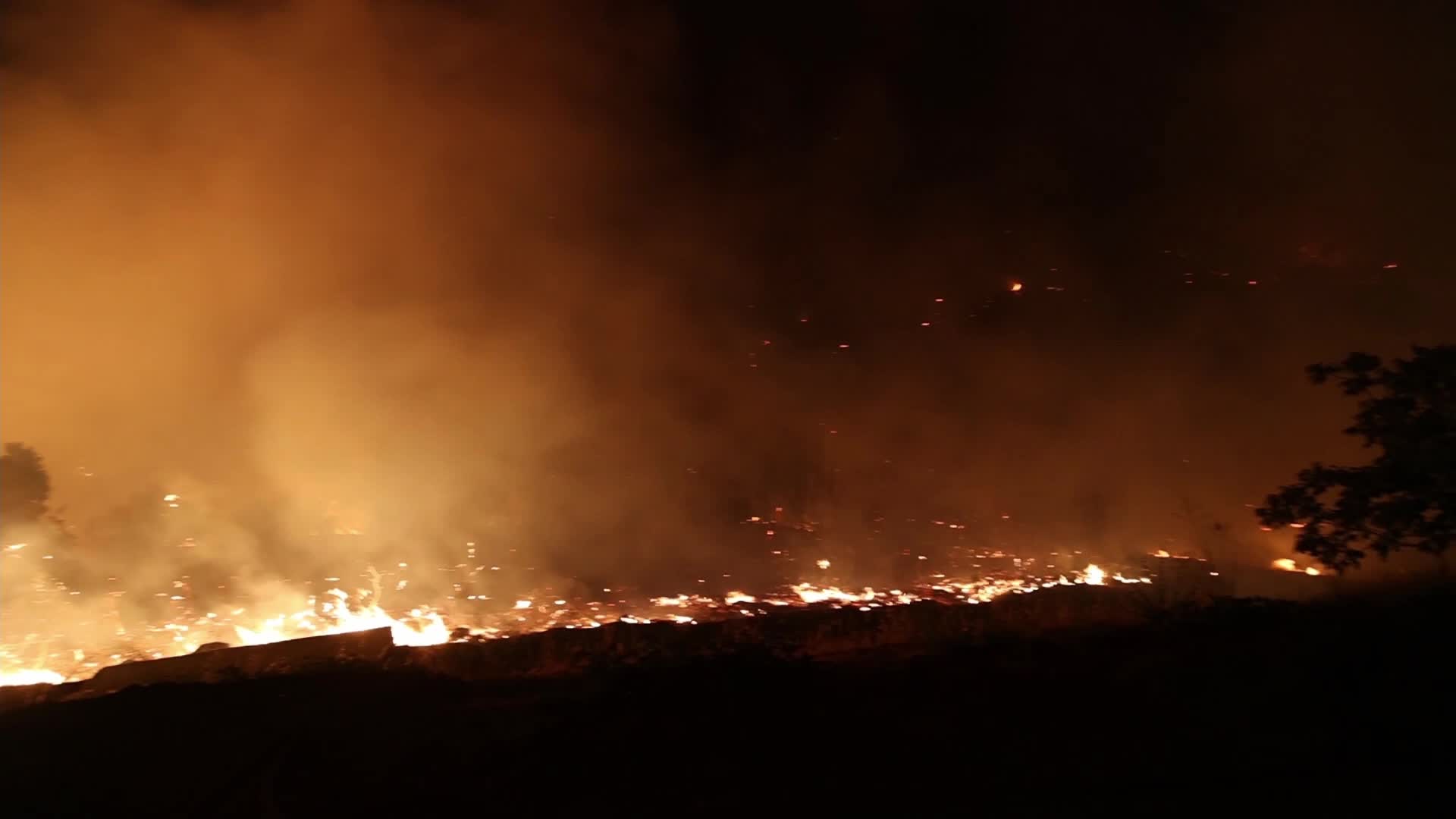 Greece battles wildfires for fourth day