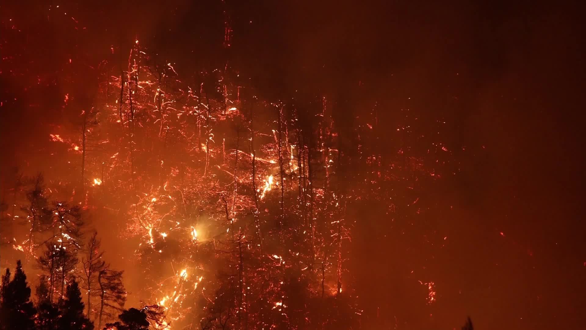 Greece battles wildfires for fourth day