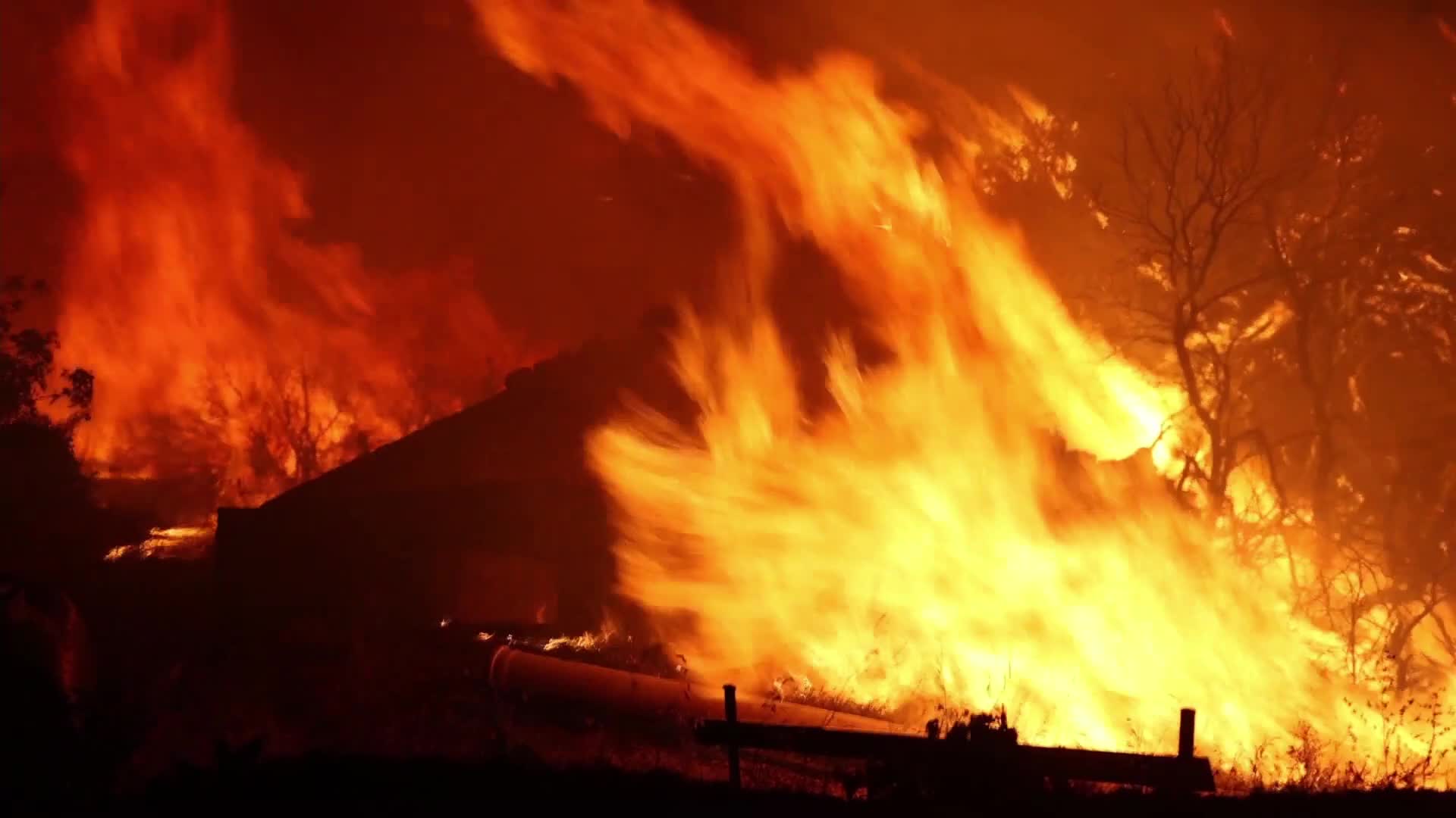 Greece battles wildfires for fourth day