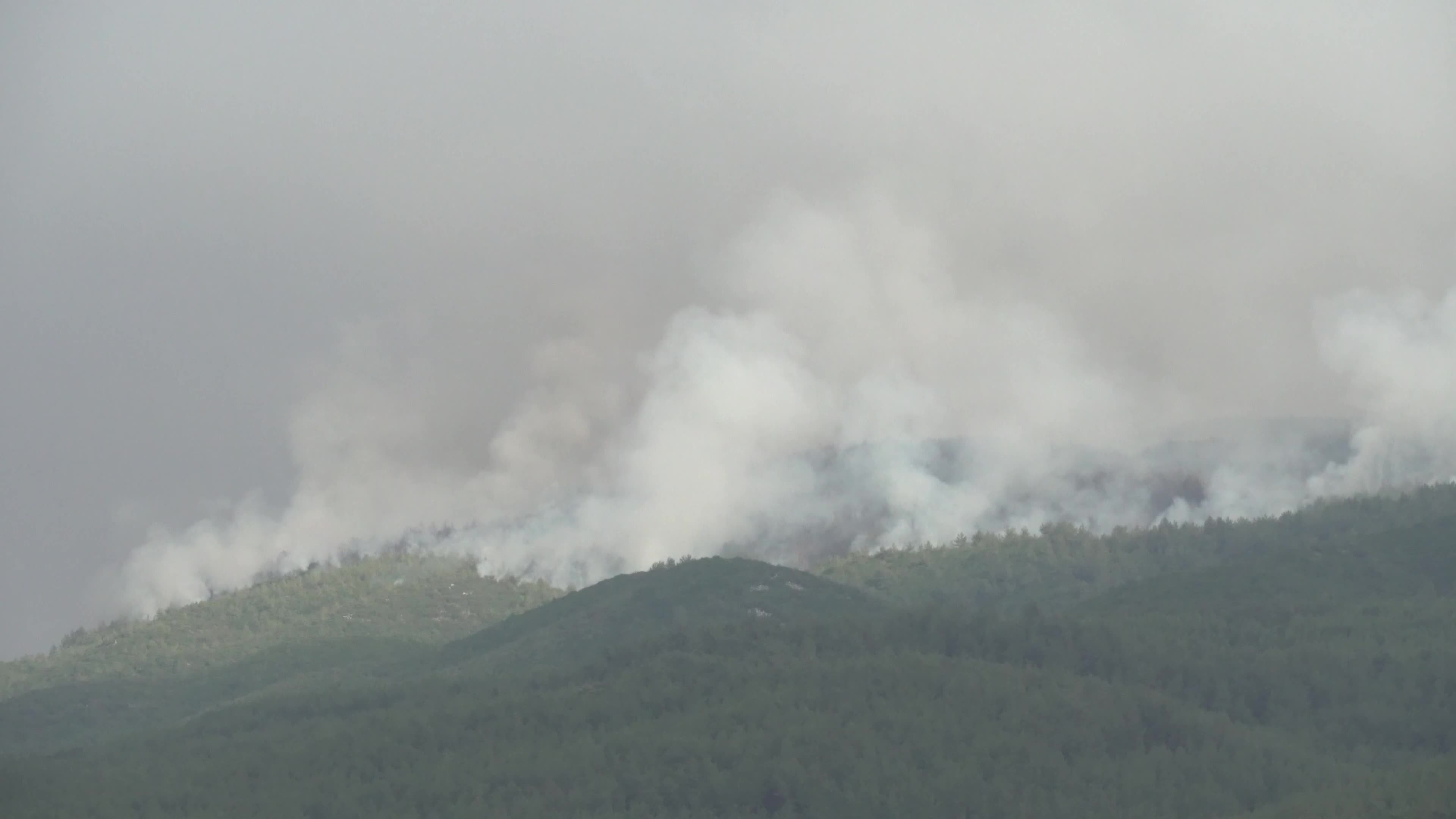 Wildfires in Milas, Turkey 