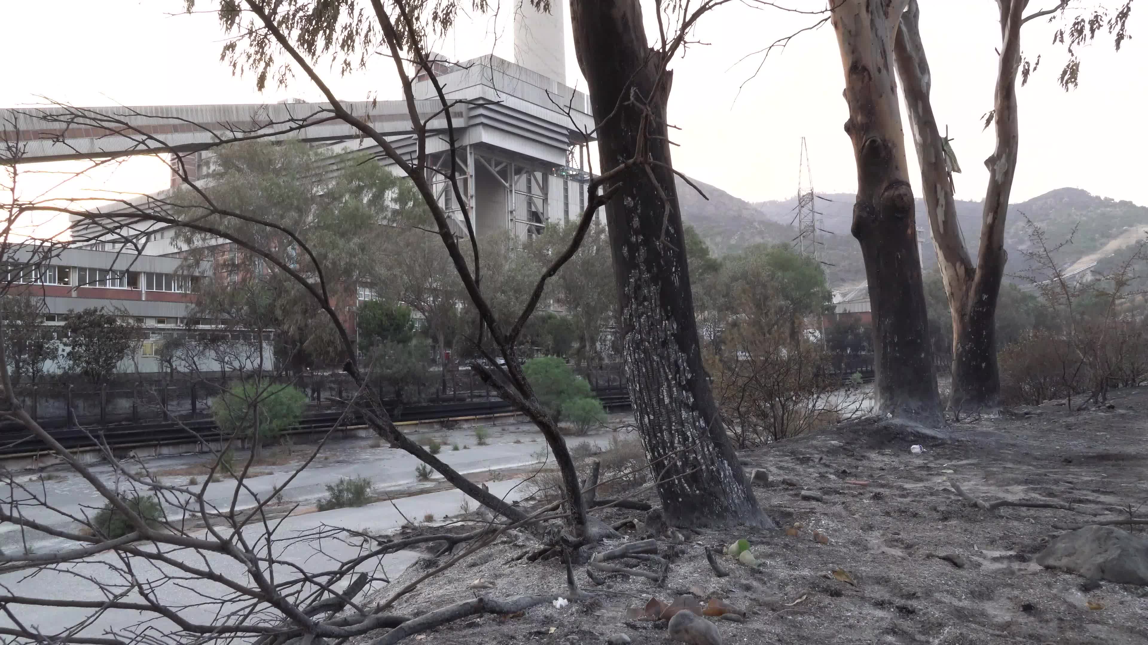 Wildfires in Milas, Turkey 