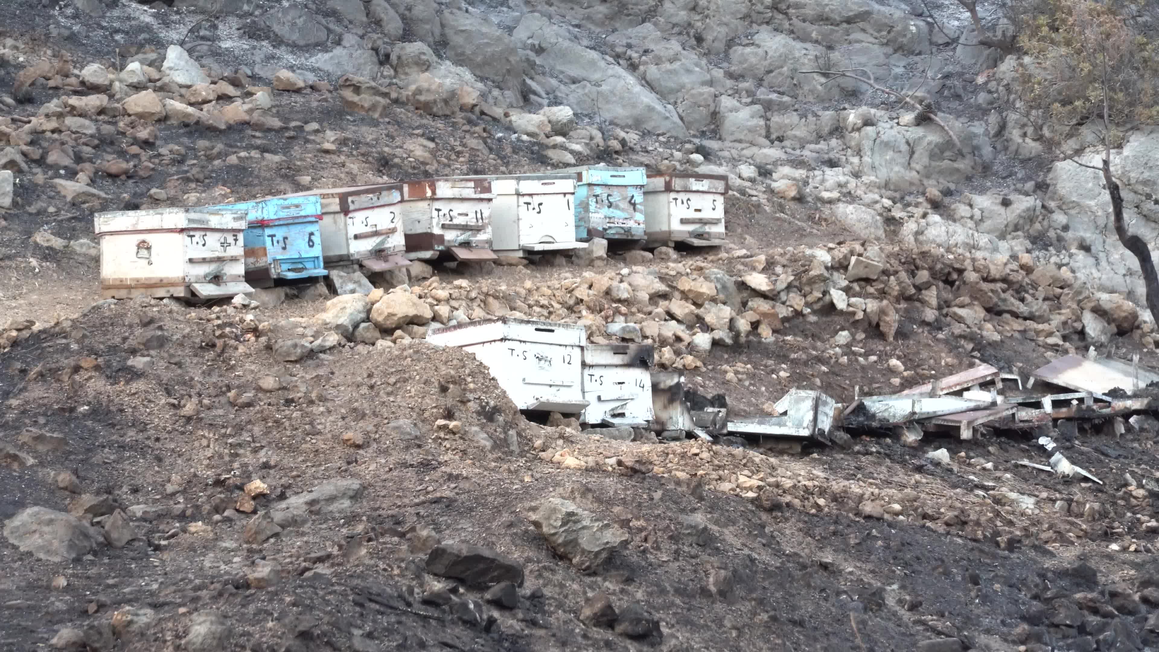 Wildfires in Milas, Turkey 