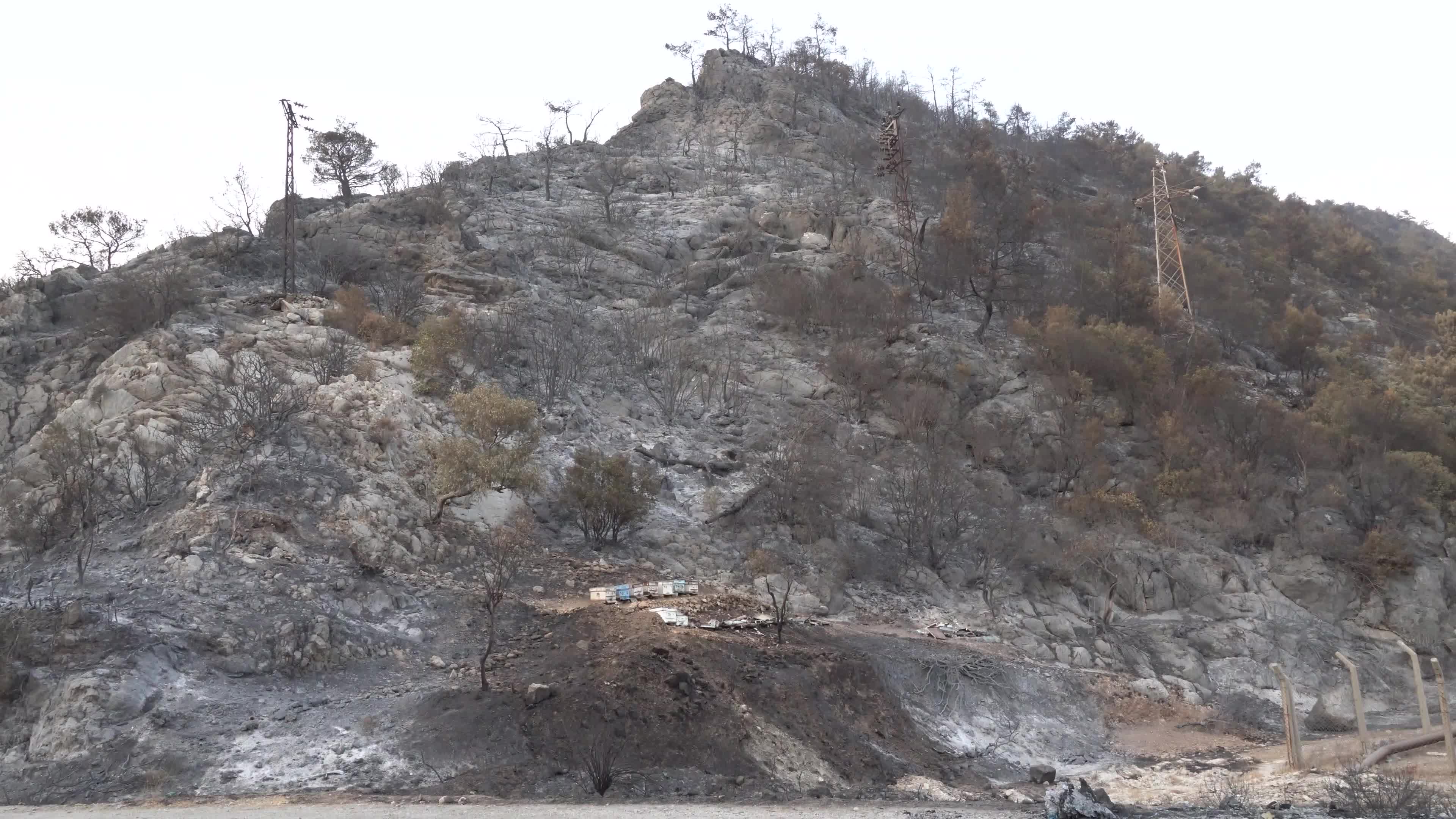 Wildfires in Milas, Turkey 