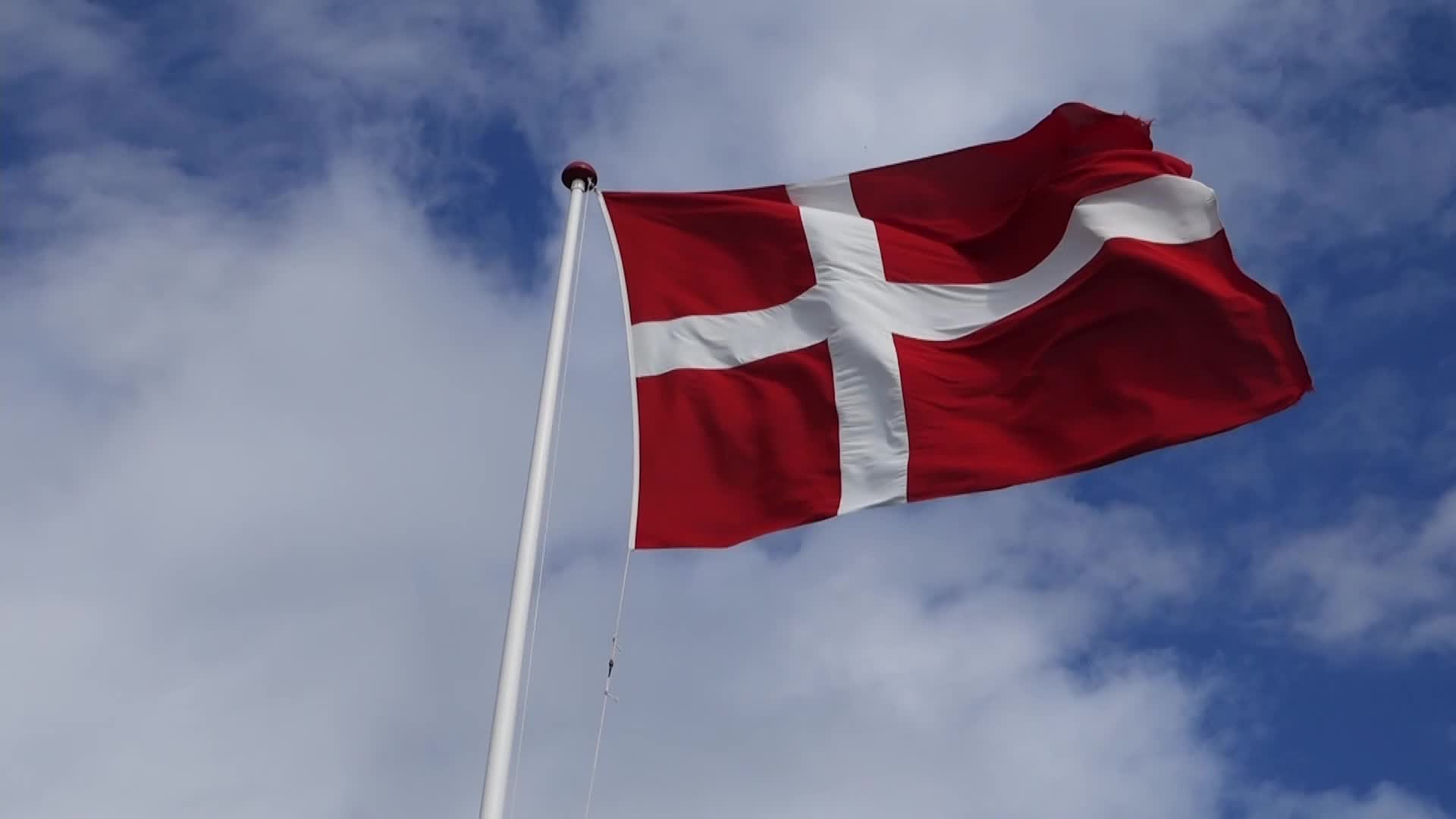 Flag of Denmark on the wind