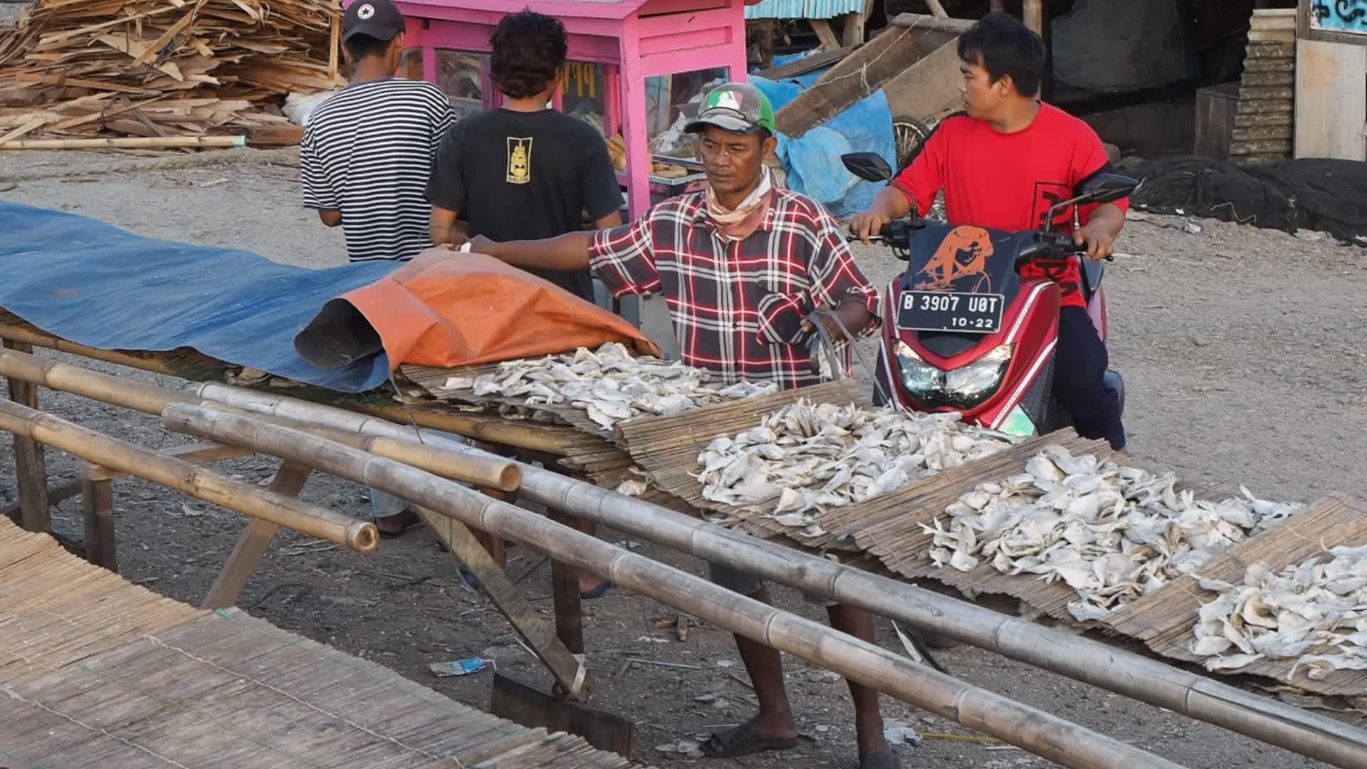 Cilincing Fish Market in Indonesia