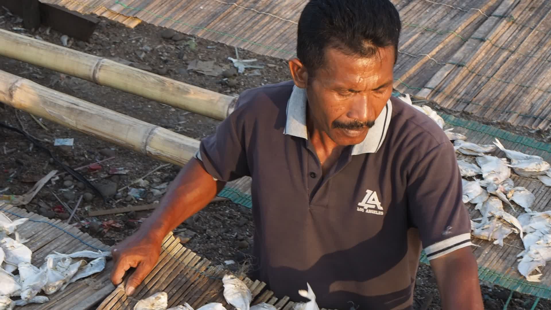 Cilincing Fish Market in Indonesia