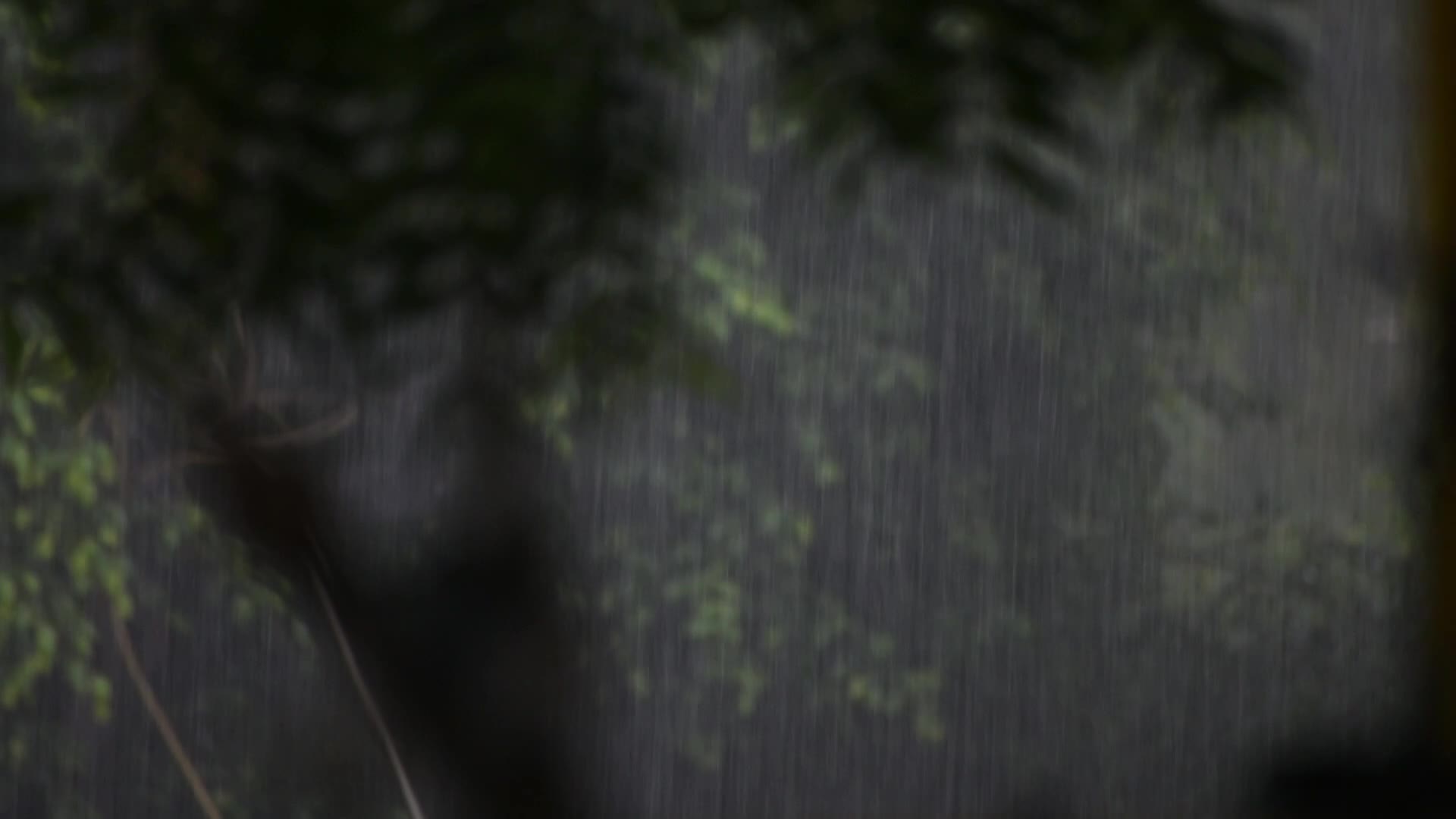 Monsoon in India