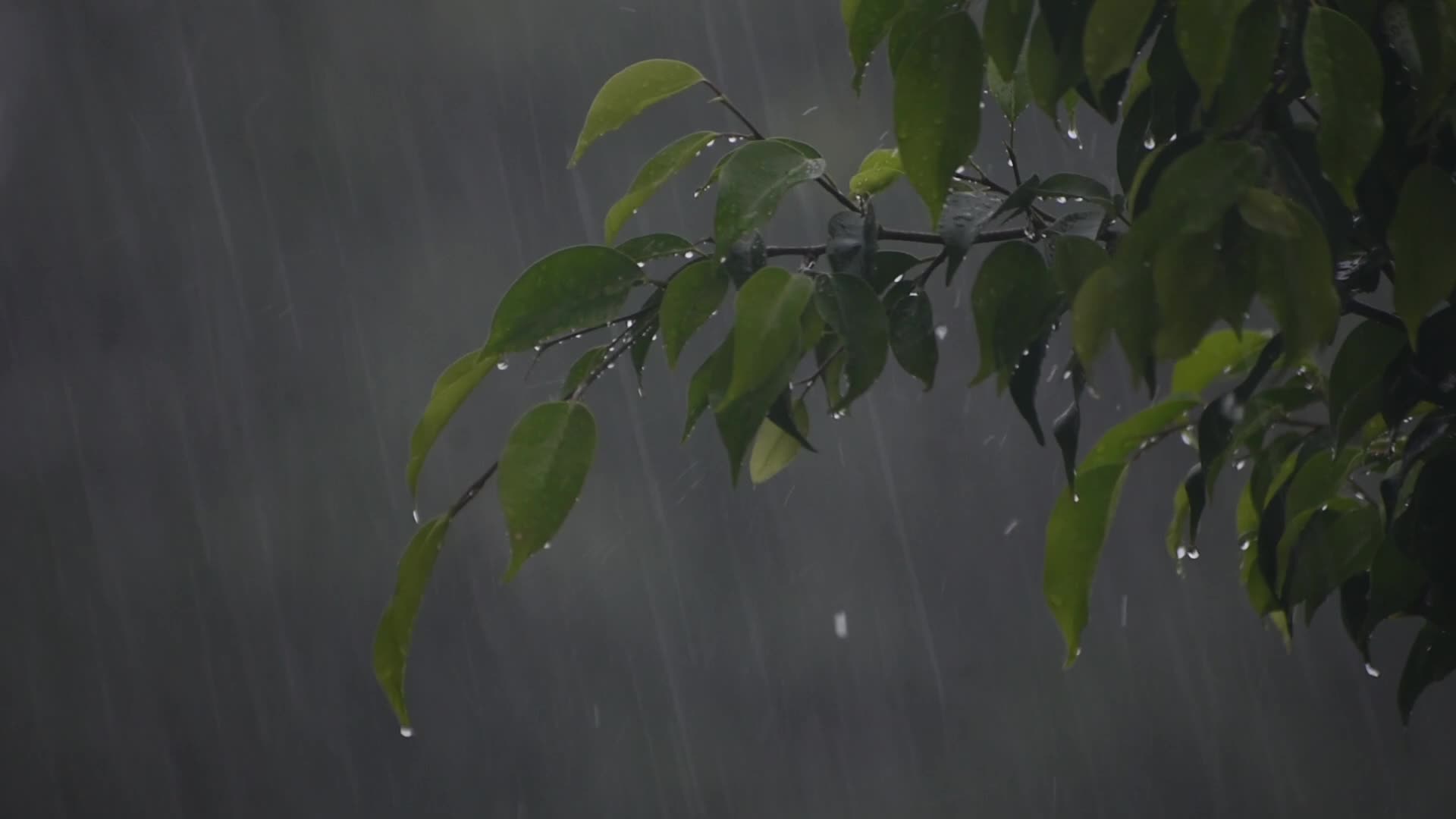 Monsoon in India