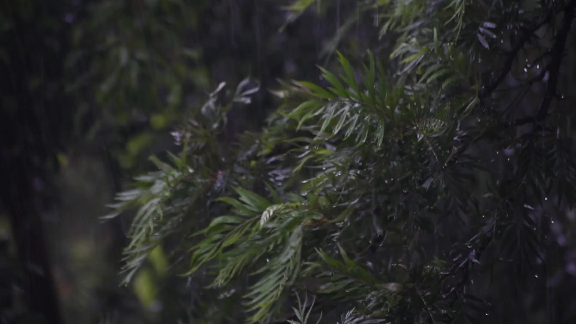 Monsoon in India