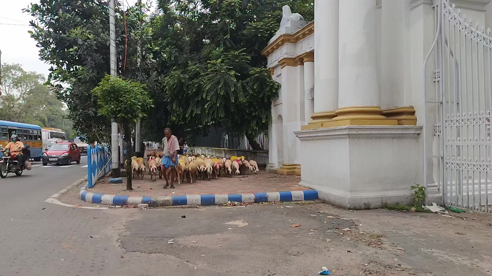 Daily Life In Kolkata