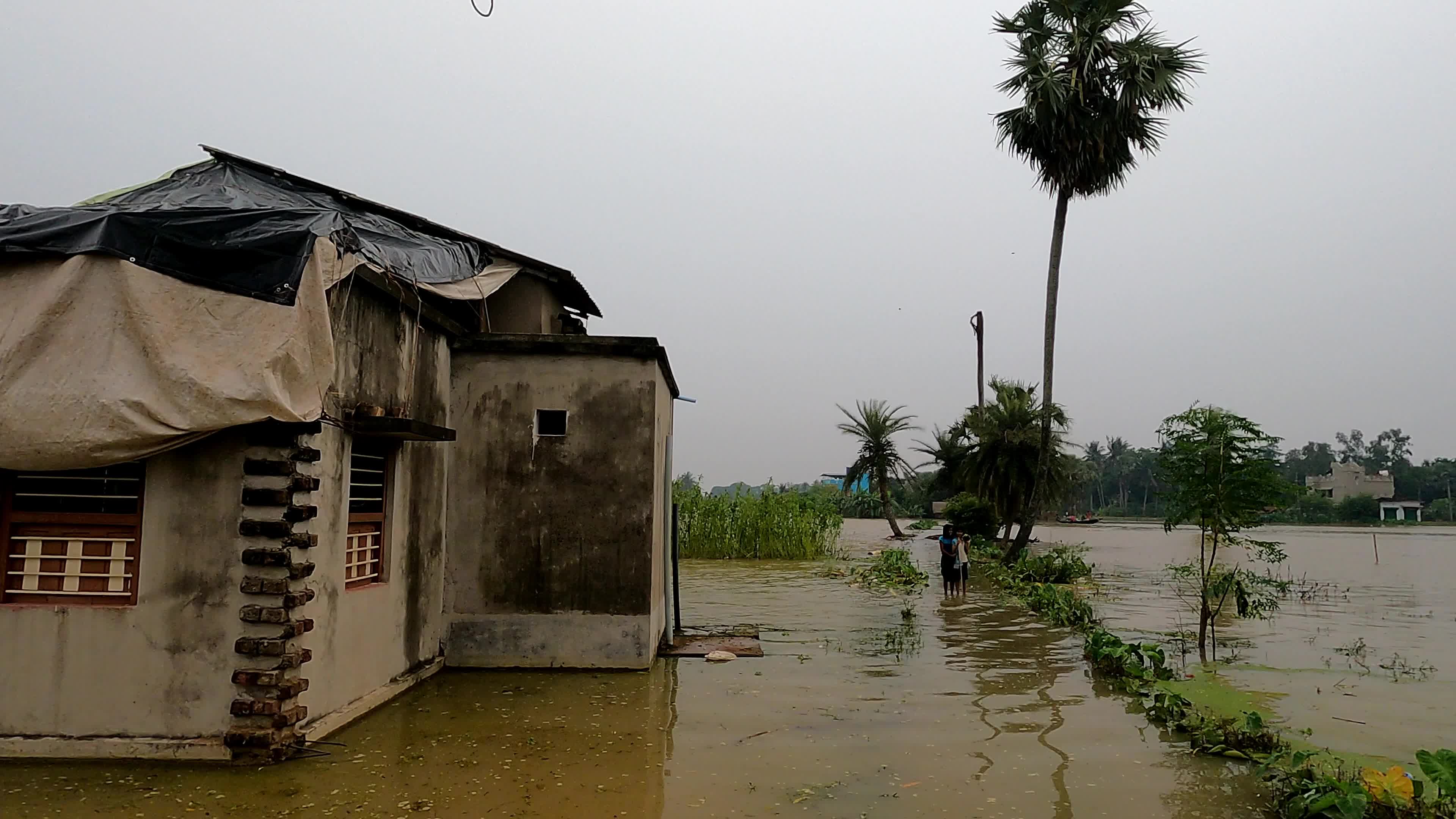 Monsoon rain in India
