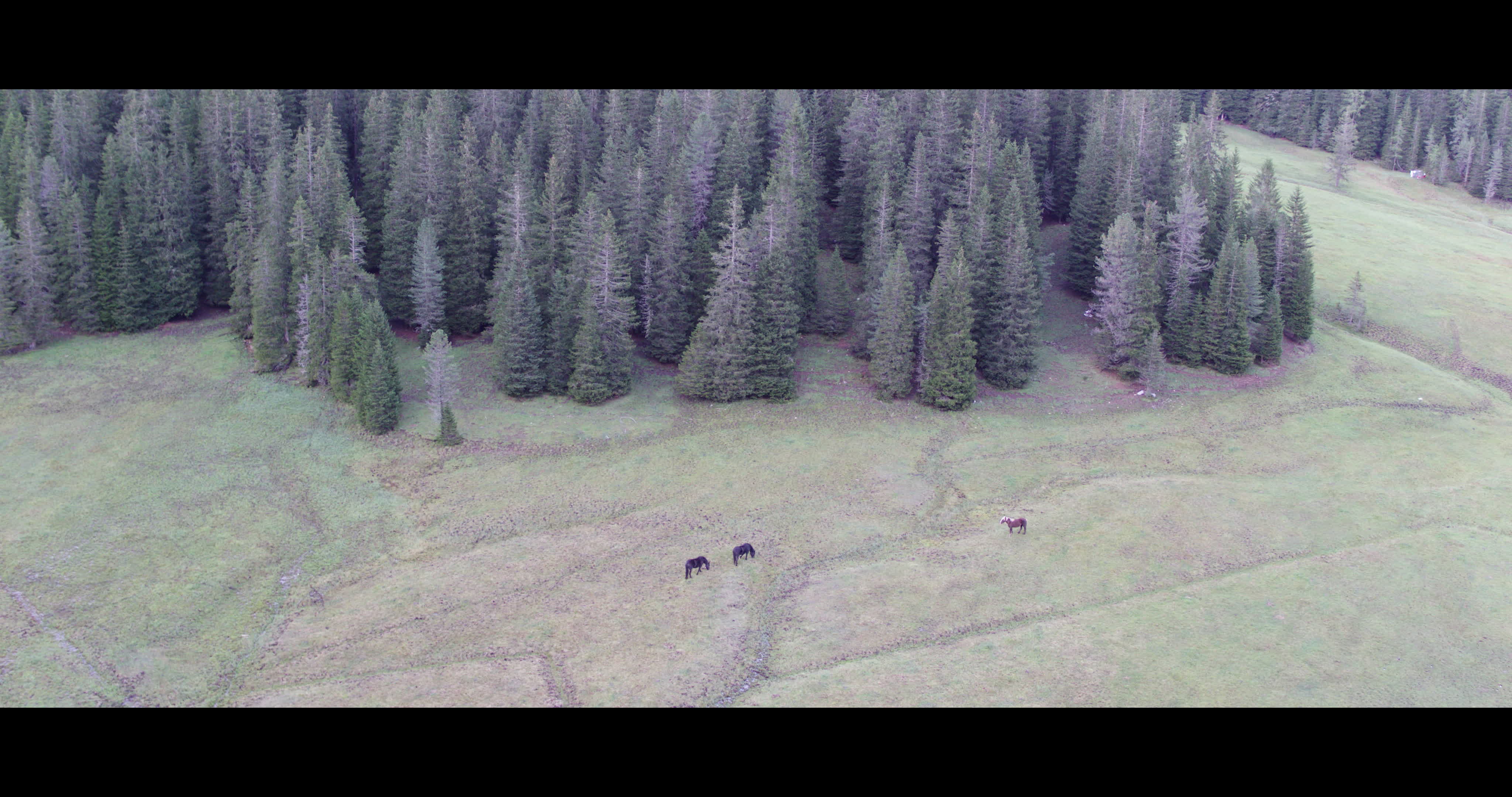 Aerial View Of Misurina Lake