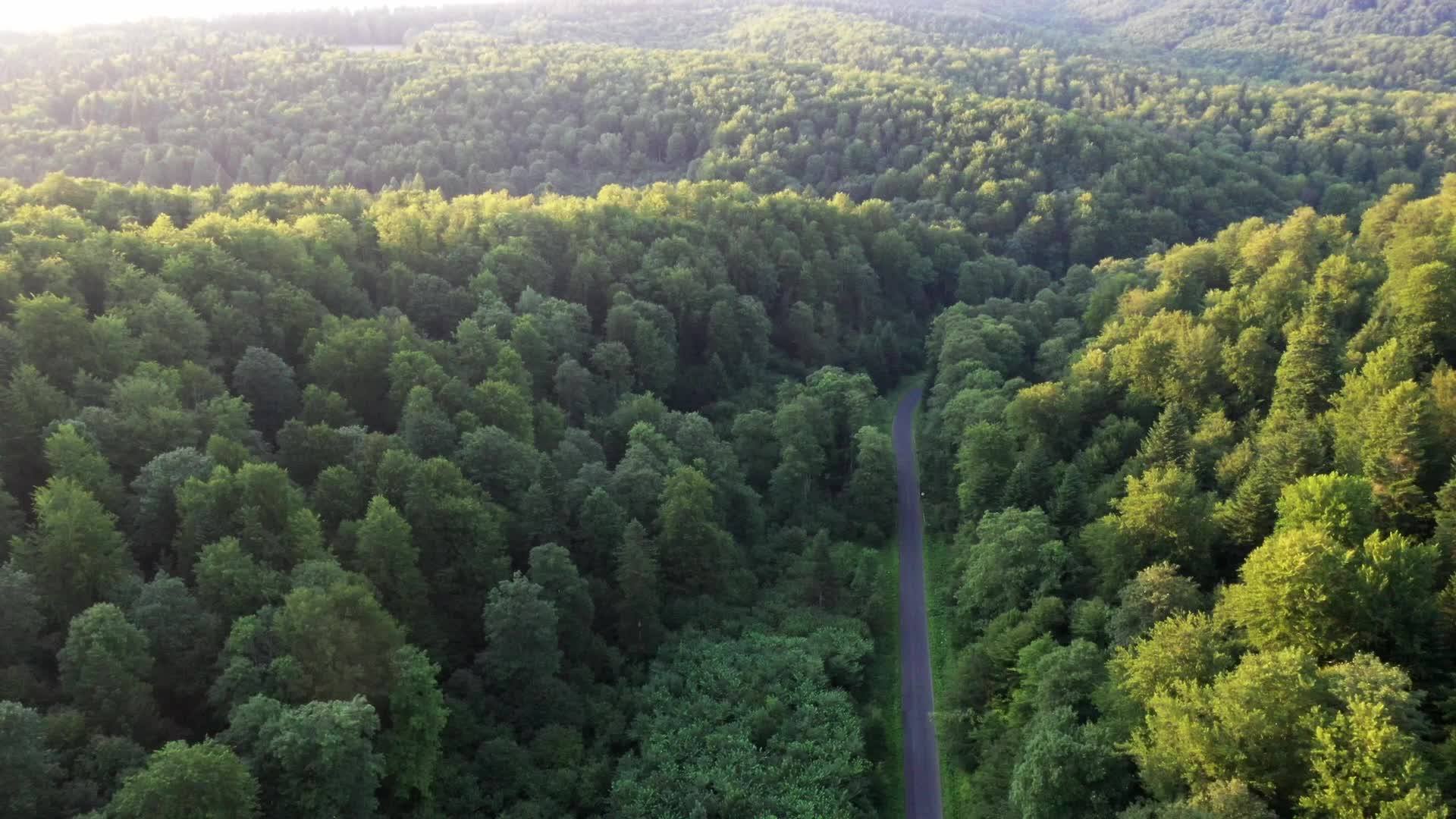 Deforestation Protest continues third month in east Poland